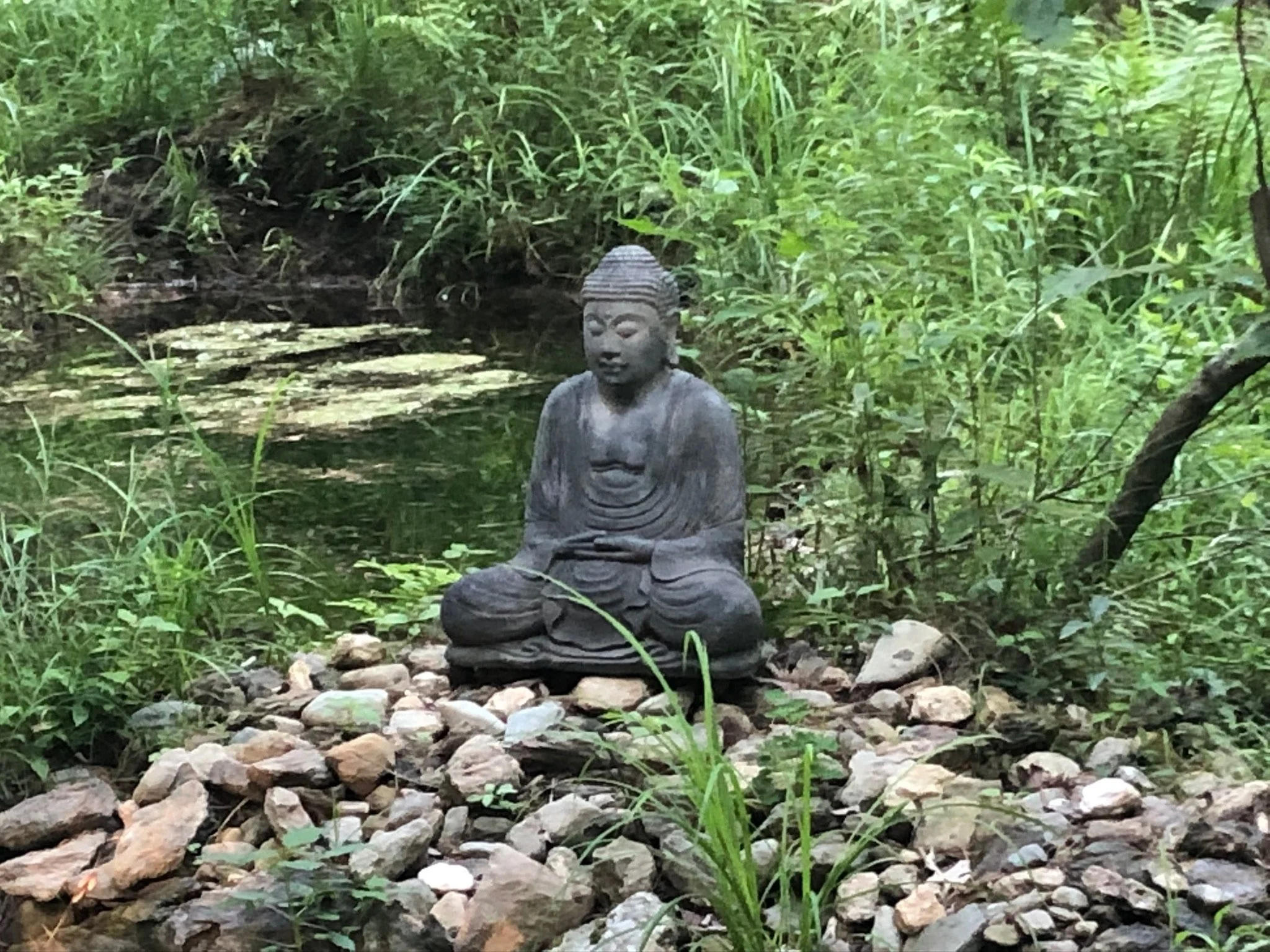 A stone Buddha statue sitting in a cross-legged position among rocks and greenery near a small stream in a forest.