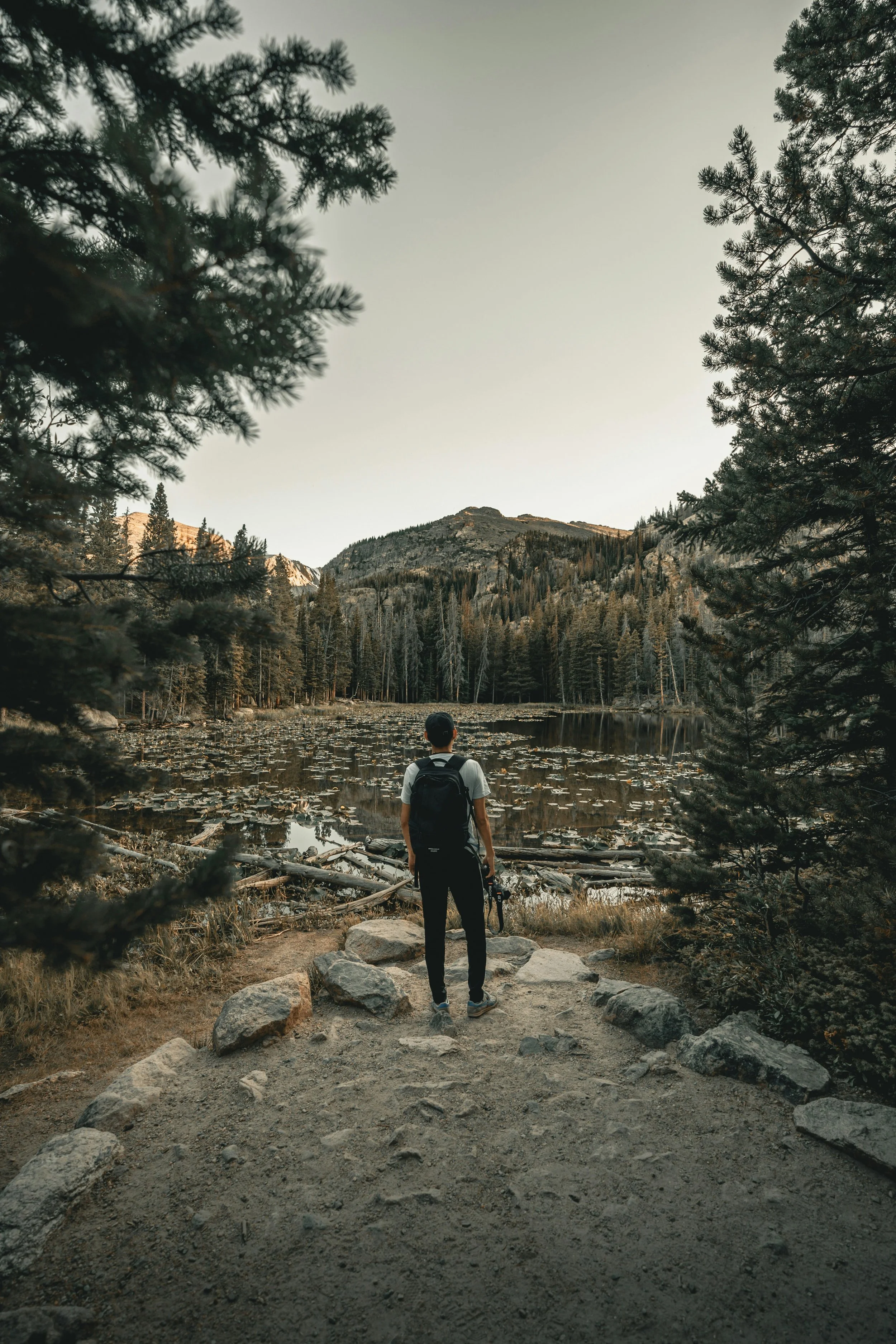 A person with a backpack holding a camera standing on a dirt trail, overlooking a lake surrounded by pine trees and mountain peaks in the distance.