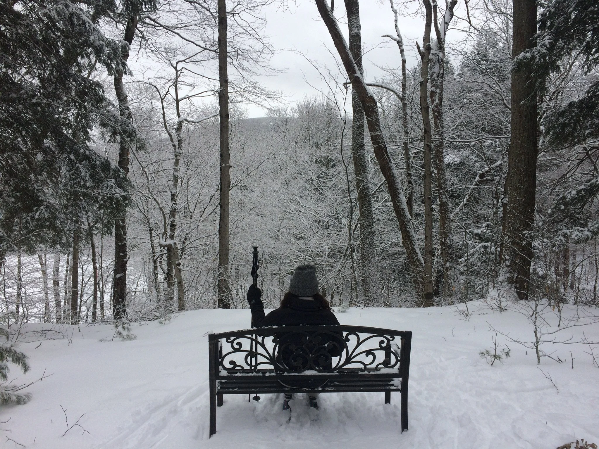 A person sitting on a black iron park bench wearing a gray beanie, black coat, and gloves in a snowy wooded area with trees covered in snow.