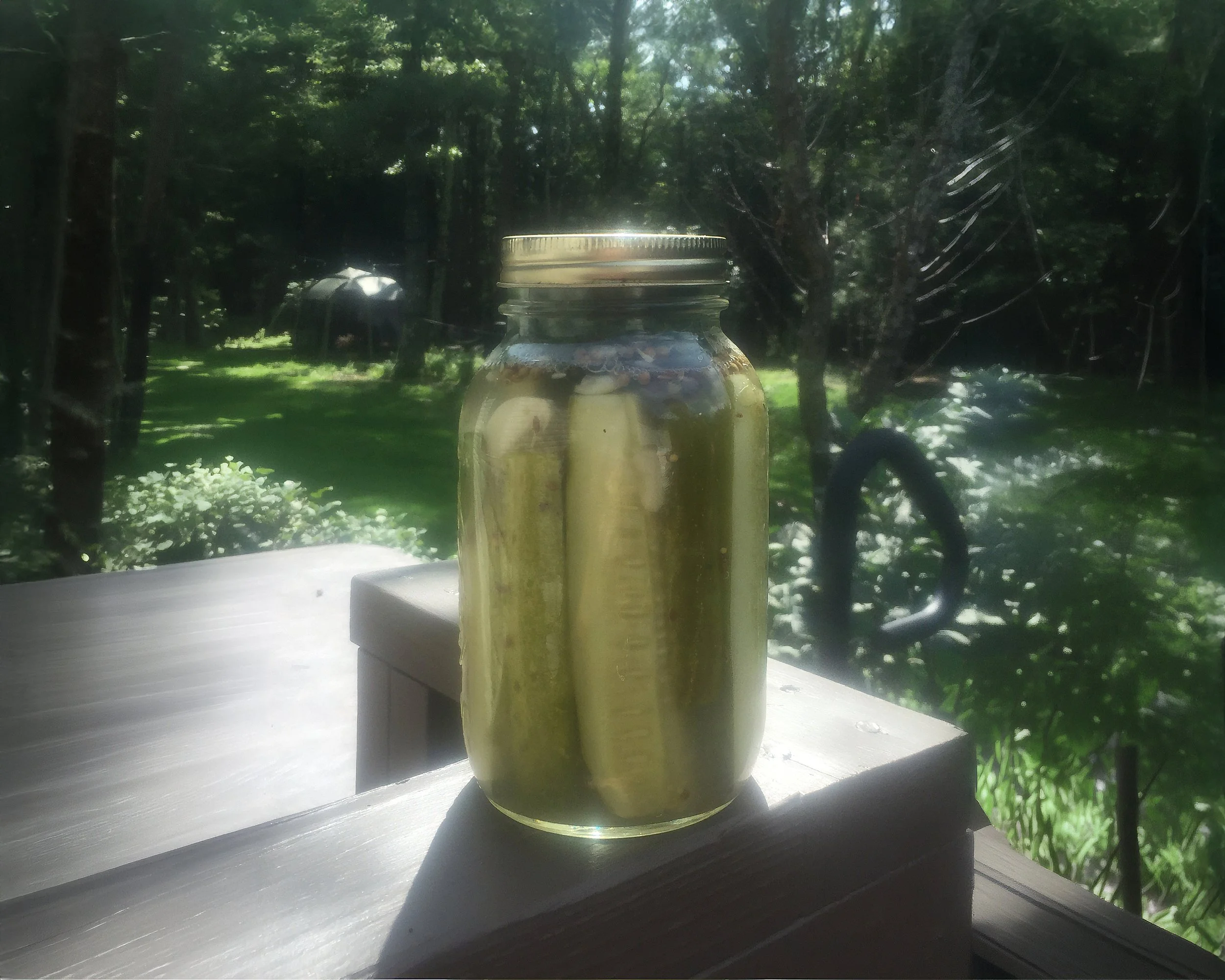 A mason jar filled with pickles sitting on a windowsill outside with trees and greenery in the background.