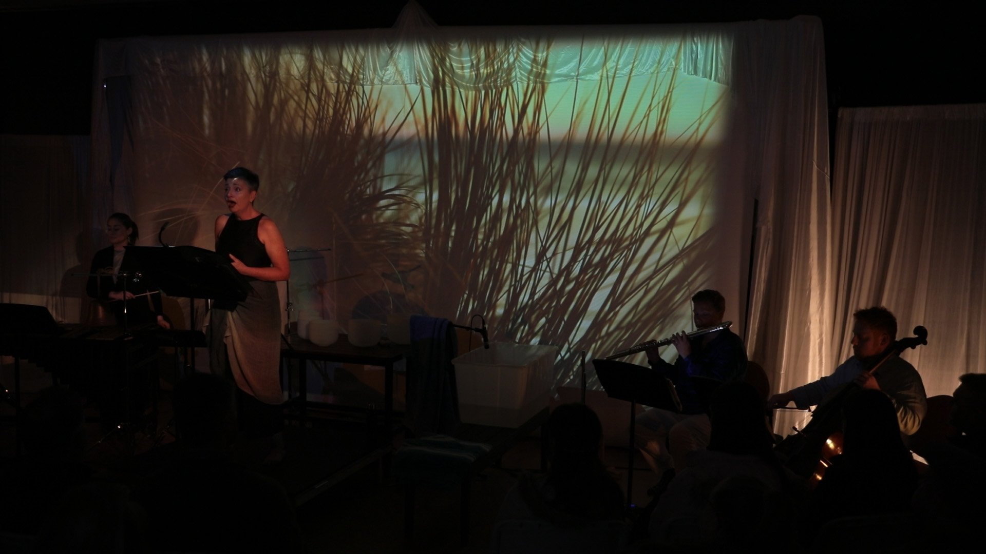 The Unknown Swimmer, premiere 2024