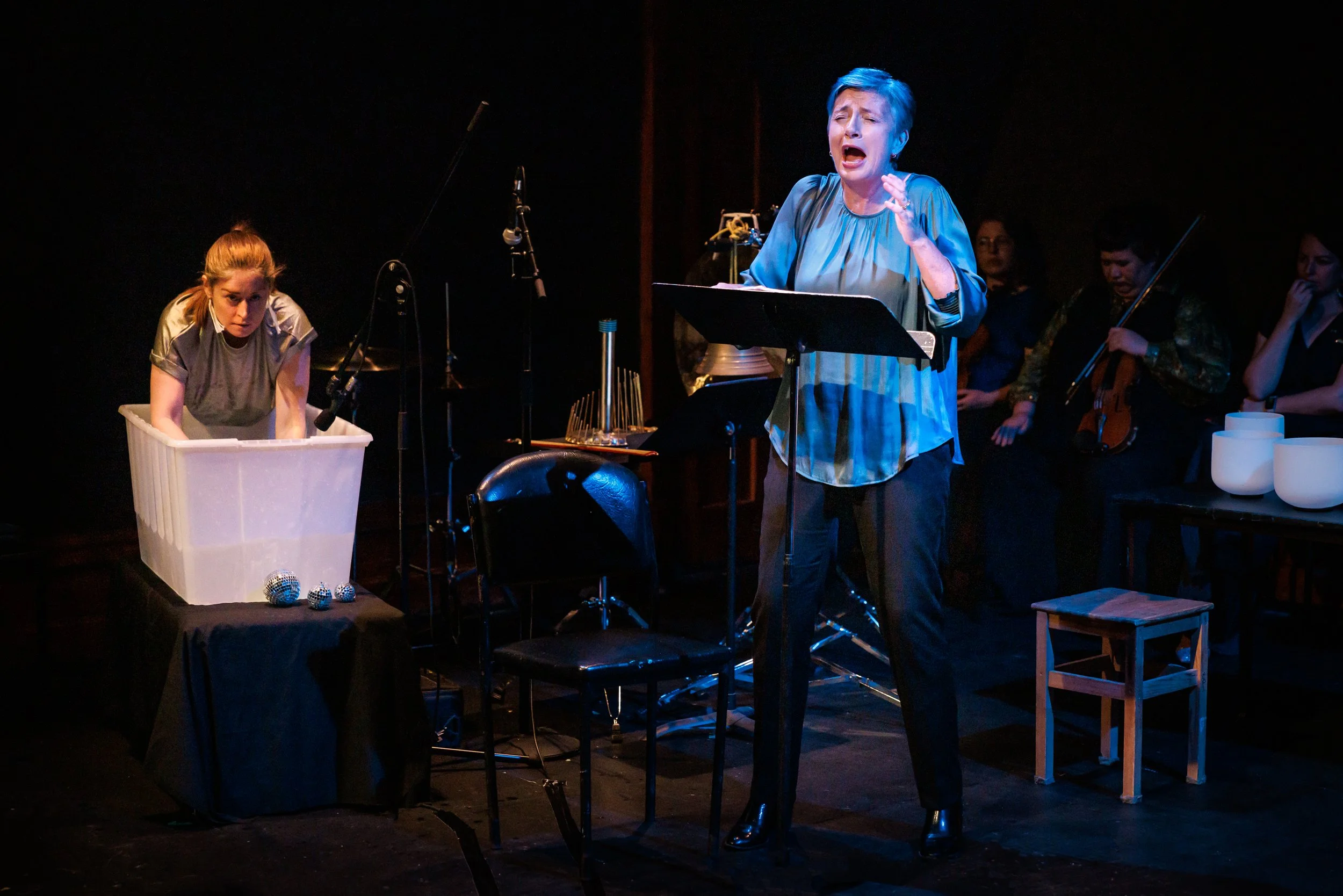 The Unknown Swimmer preview Homophonic 2024