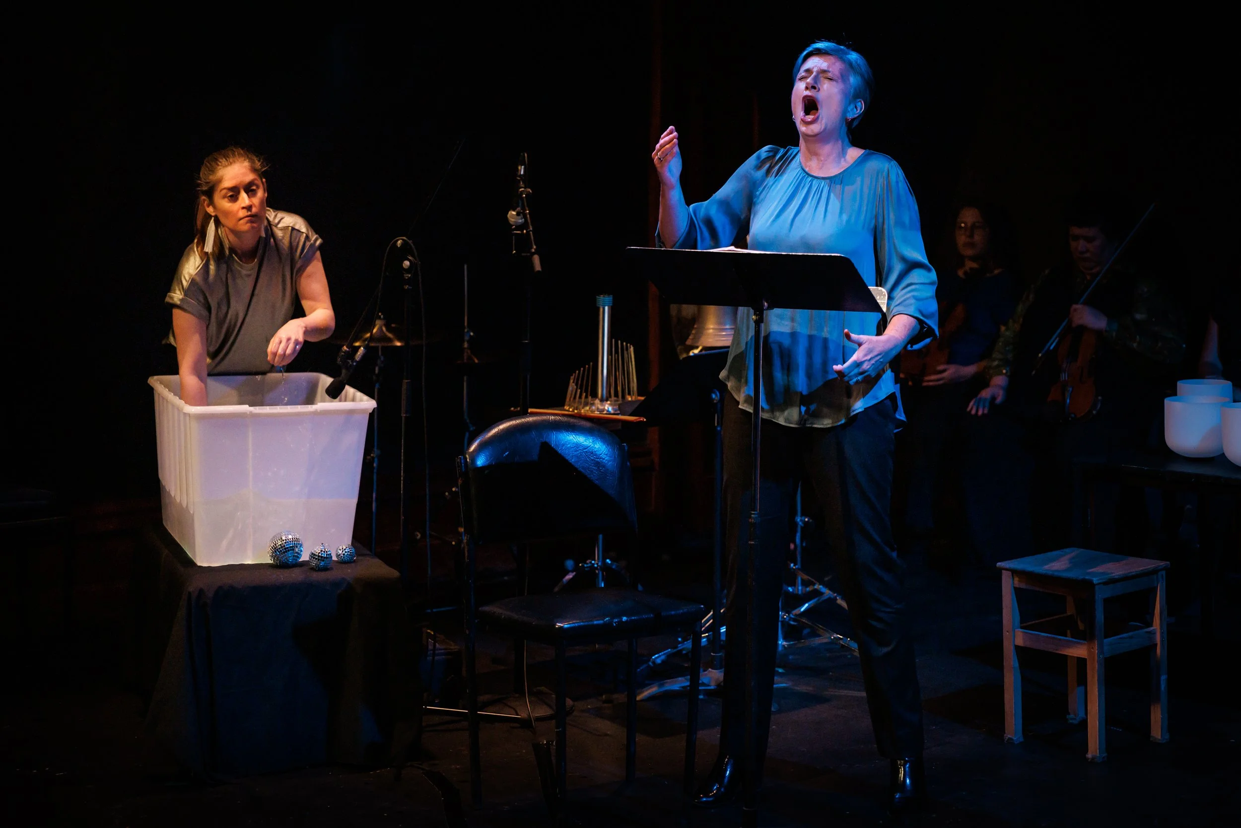 The Unknown Swimmer preview Homophonic 2024