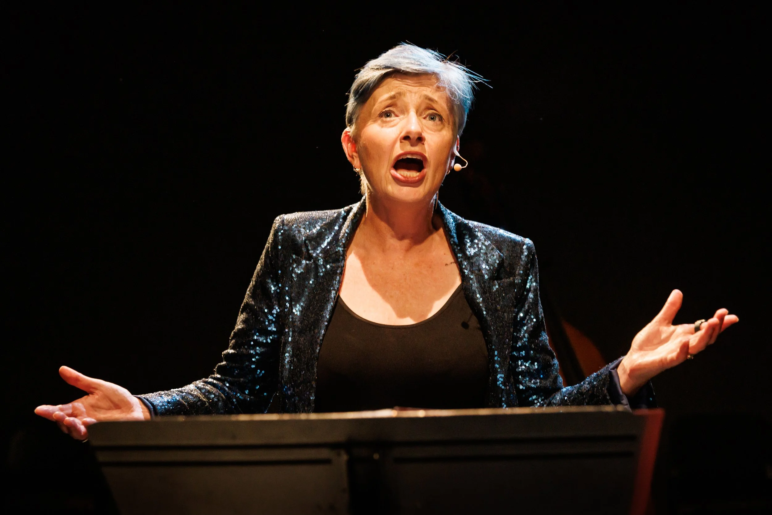 To Echoes & Lines, Homophonic 2024. Photo: Darren Gill