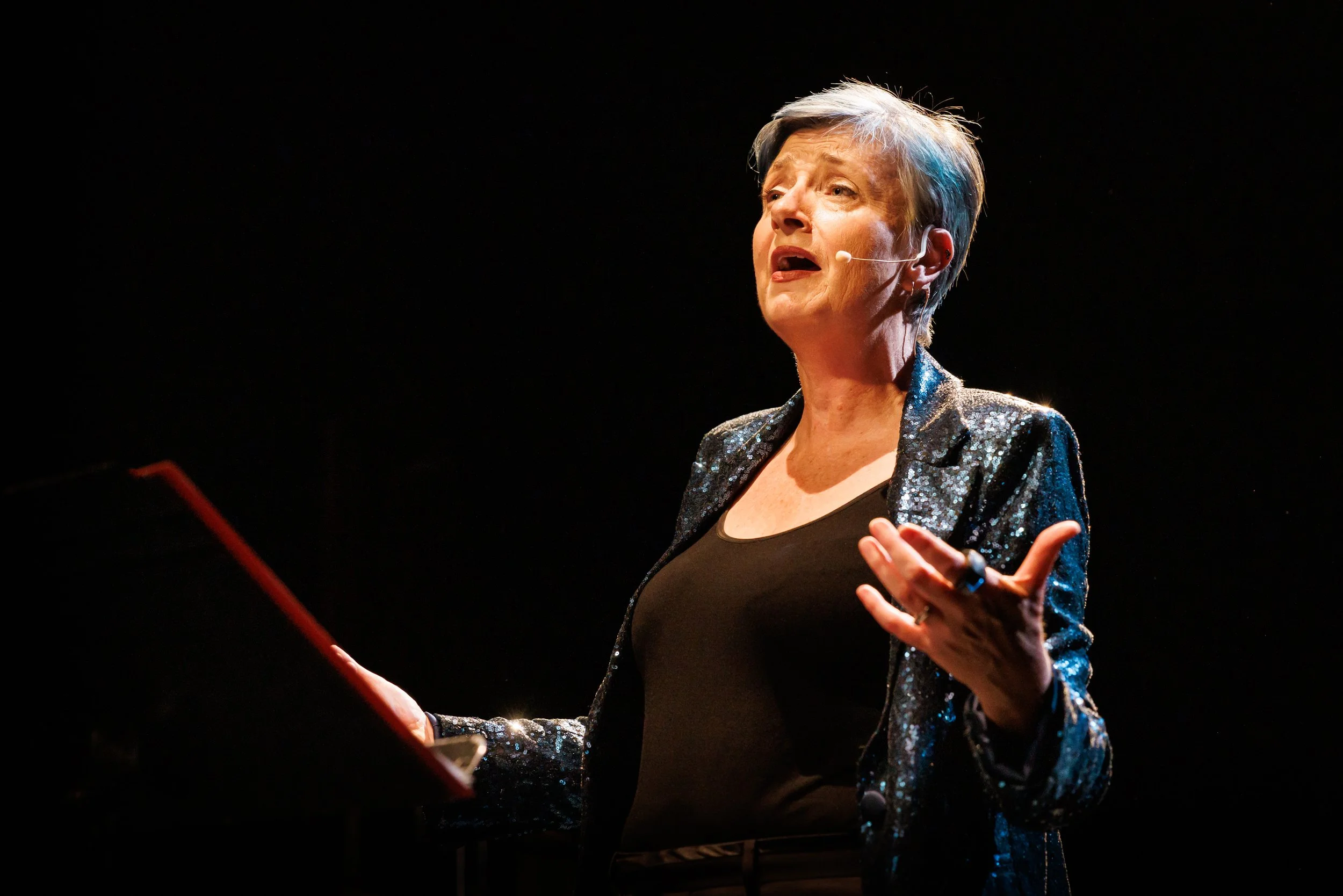 To Echoes & Lines, Homophonic 2024. Photo: Darren Gill