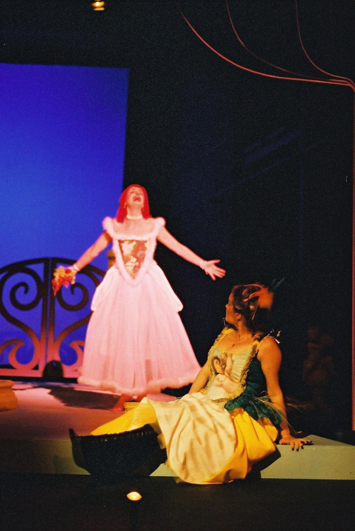 Il filosofo di campagna, Stopera 2002