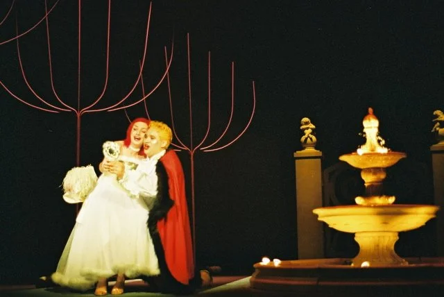 Il filosofo di campagna, Stopera 2002