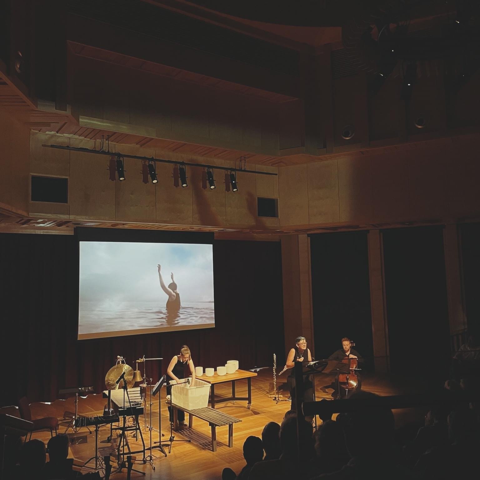 The Unknown Swimmer preview, UKARIA 2024