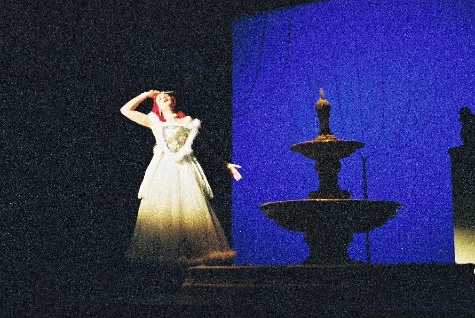 Il filosofo di campagna, Stopera 2002