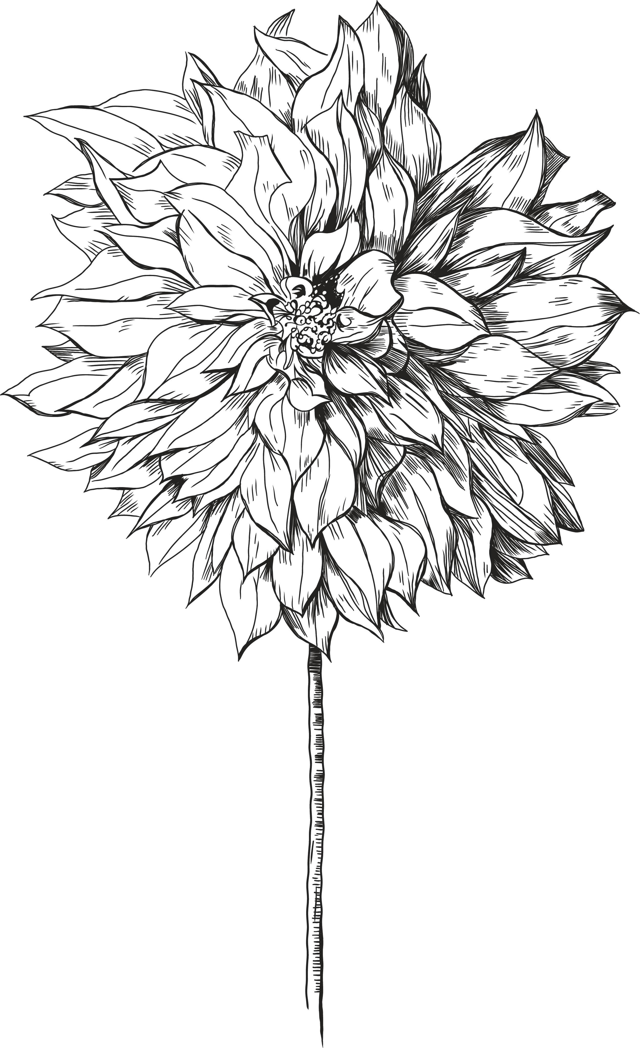 luxury wedding floral design san miguel de allende destination wedding