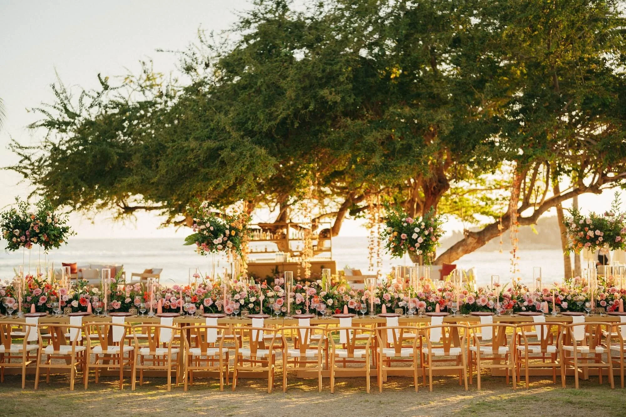 heritage reflected through color texture and floral form