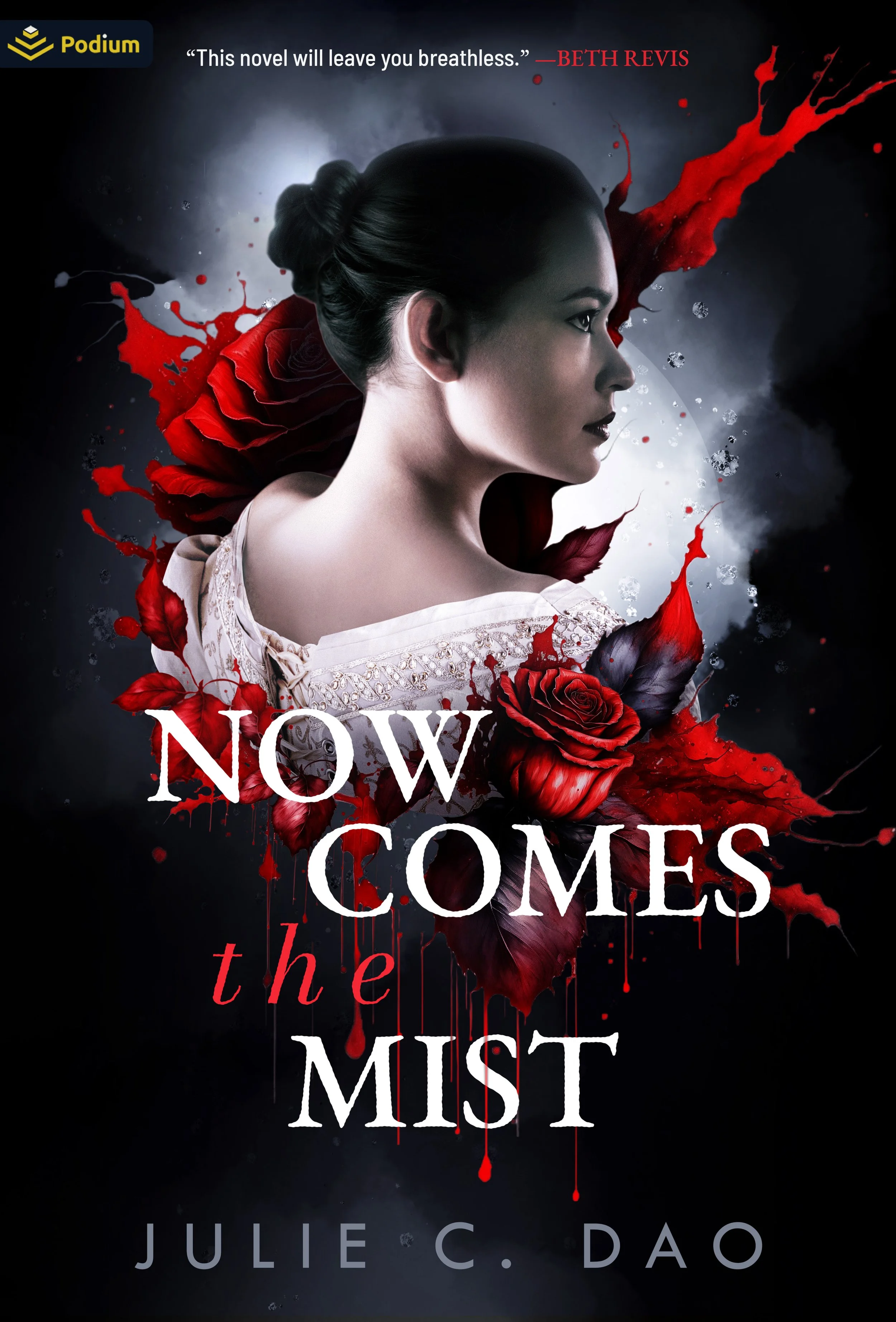 B1_Ebook_Now Comes the Mist - eBook PSD.jpg