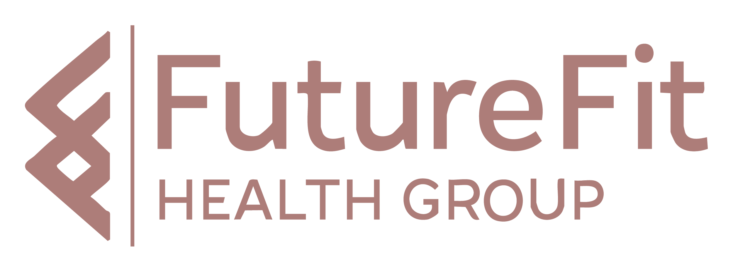 The logo for FutureFit Health Group featuring a stylized icon and the company name in pinkish-beige text.