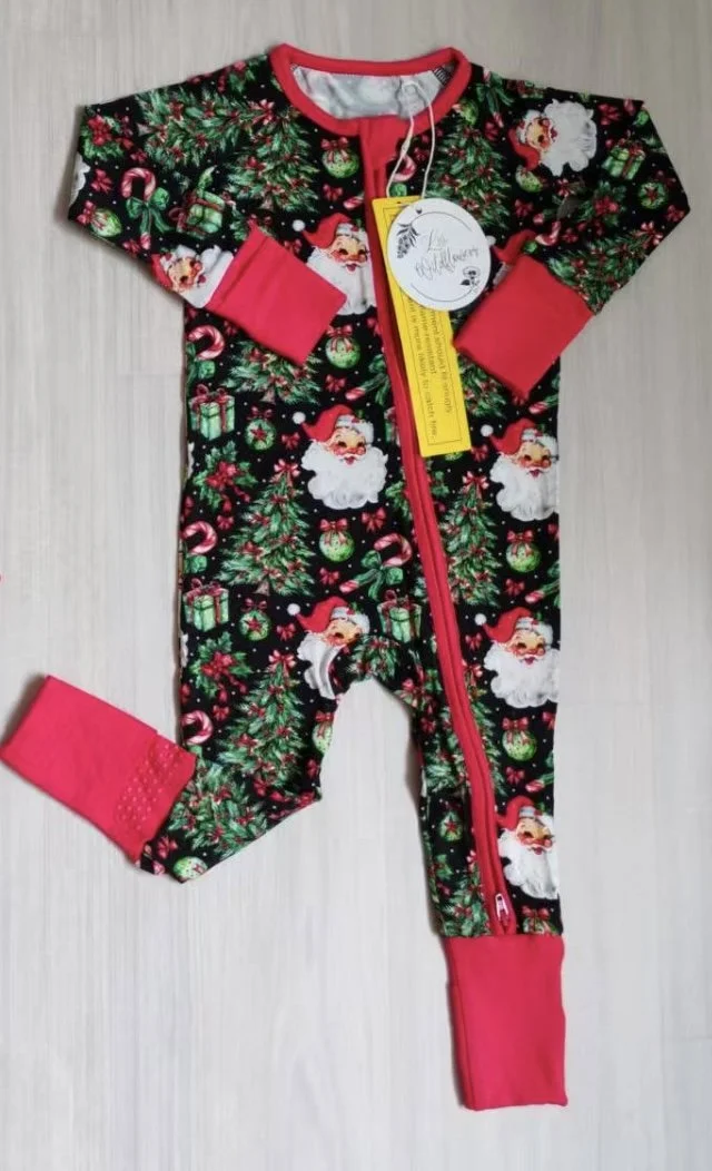 Class Christmas Zippy