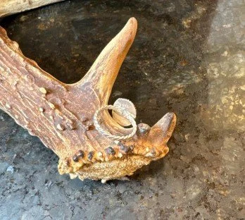 emerald valley ring 7.5 165 back.jpg