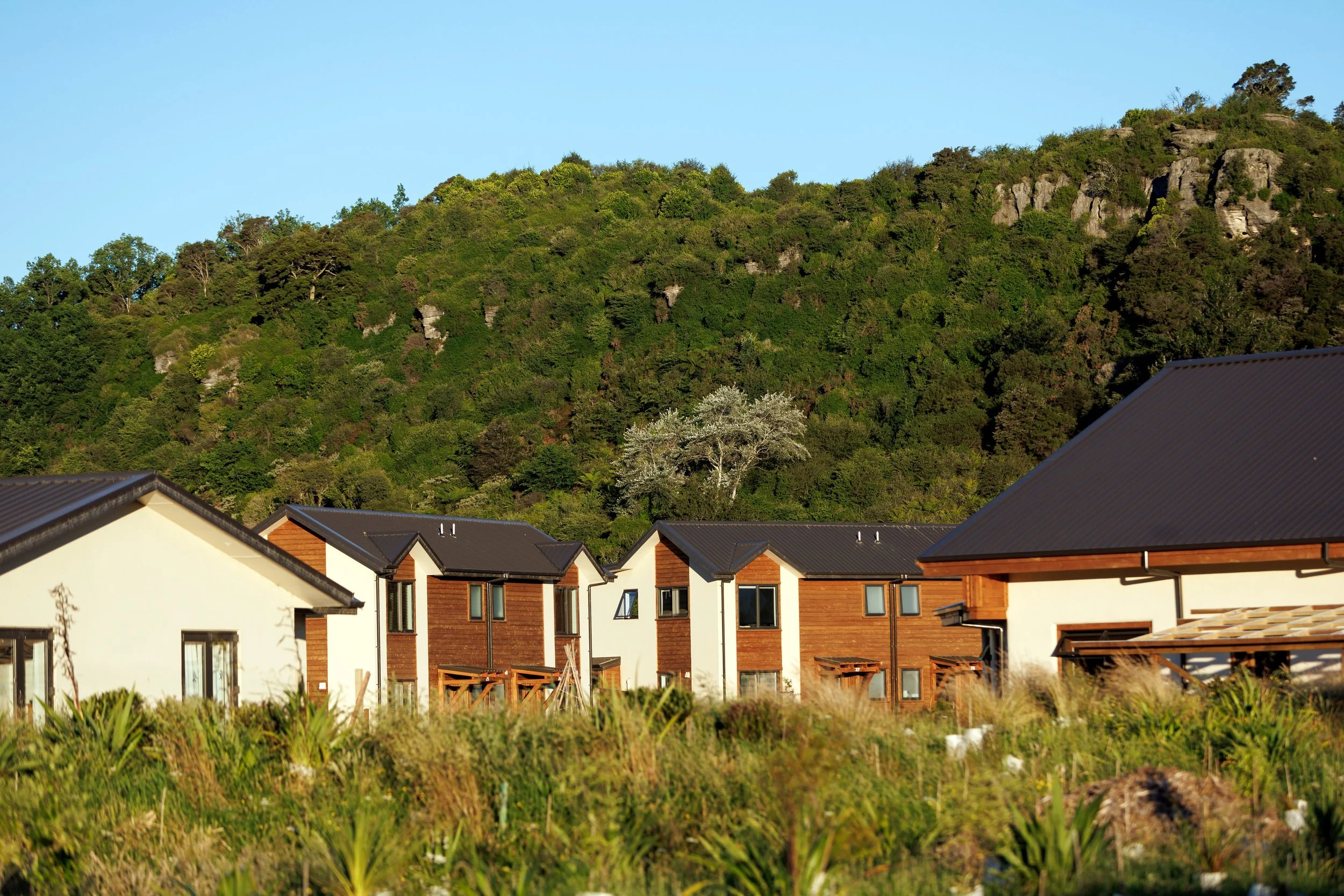 1Takaka Cohousing_Low view from West_Virginia Woolf_1.jpg