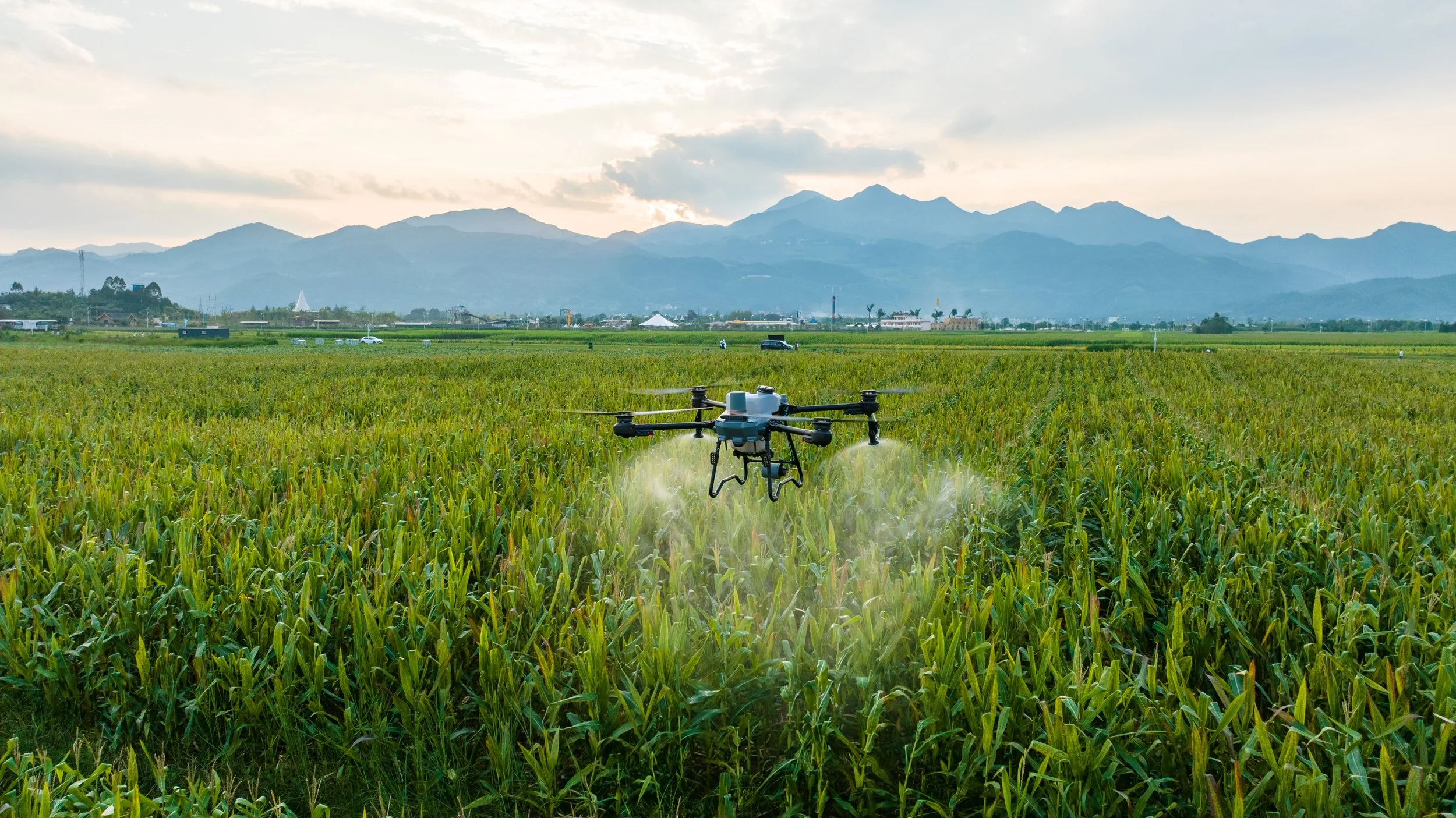 From Blanket Spraying to Precision Mapping: How Drones Are Changing Weed Control in WA
