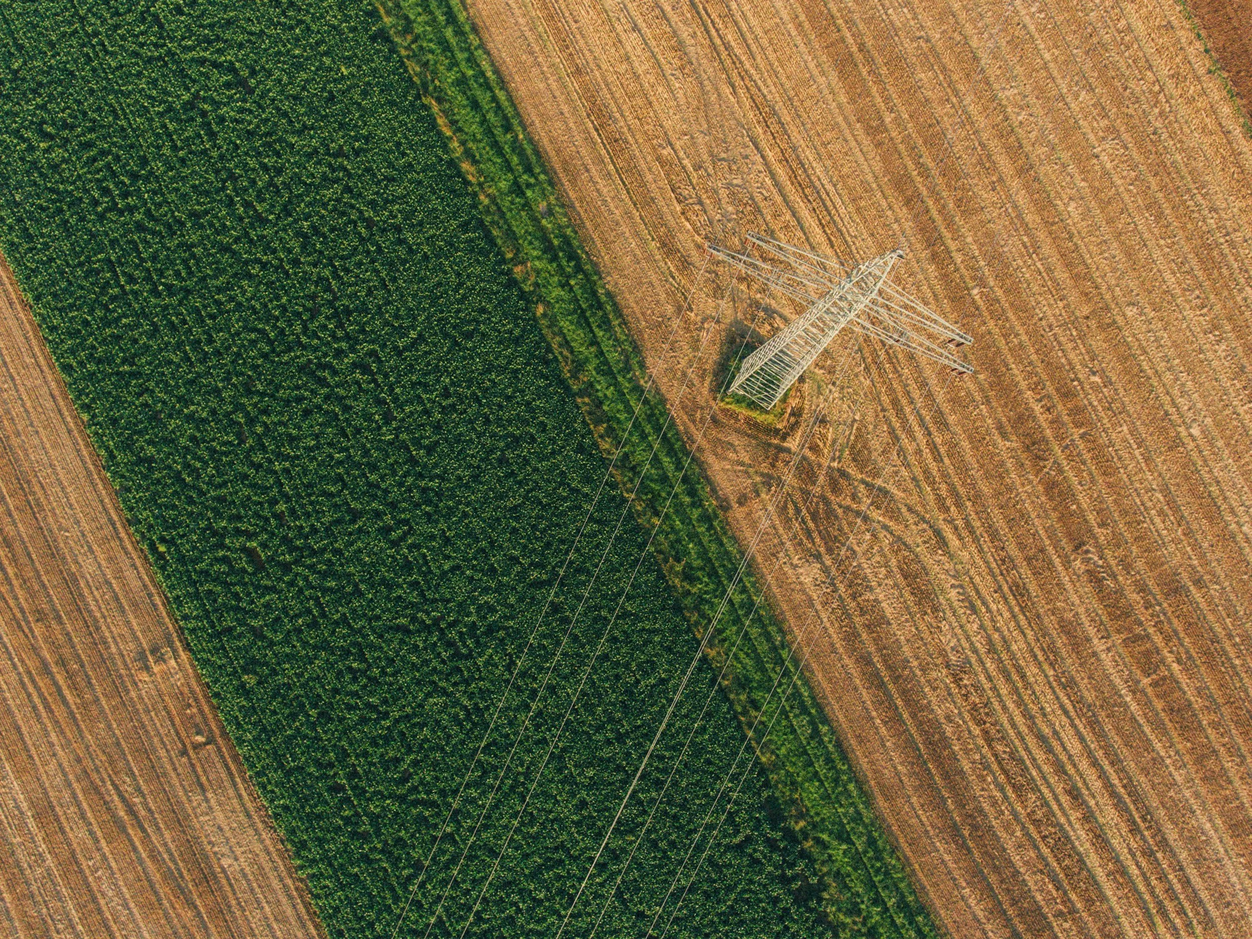 Aerial view of farmland divided into green crop fields and brown harvested fields, with a large electricity transmission tower and power lines.