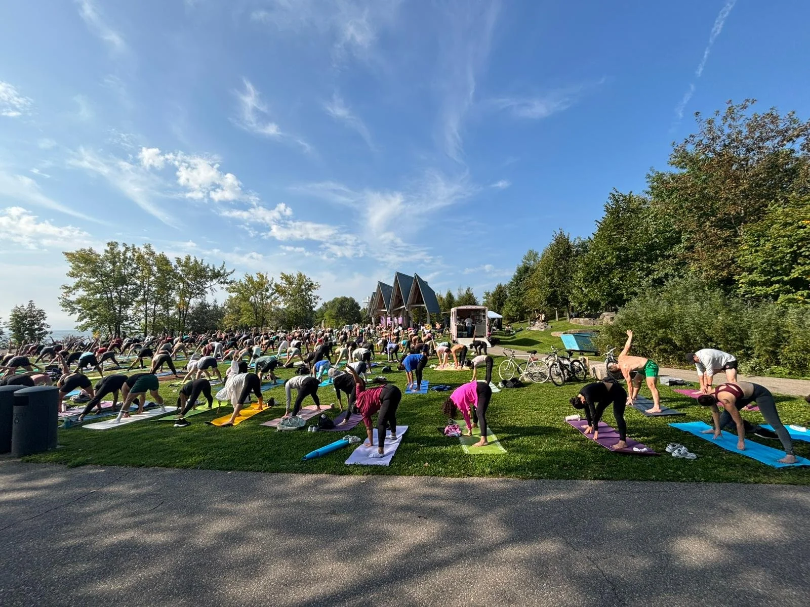 WhatsApp Image 2026-02-21 at 2.10.18 PM-3.jpeg