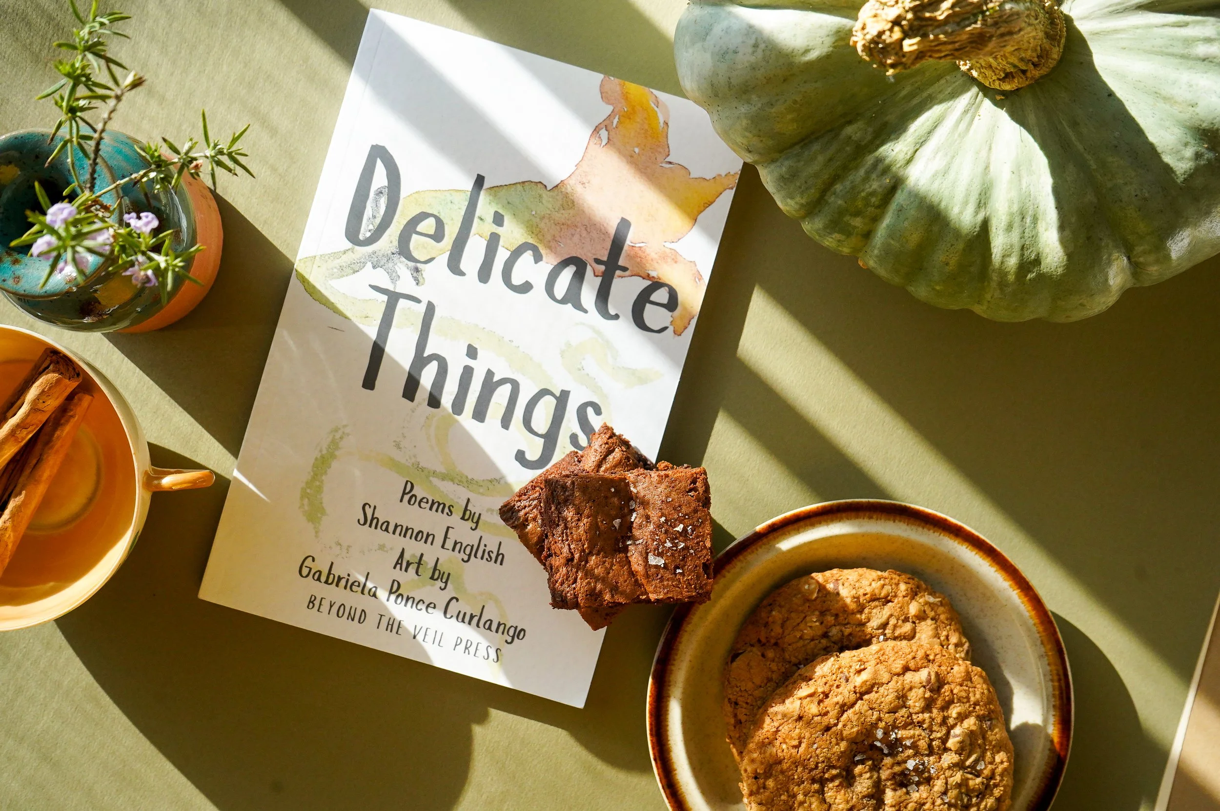 A table with a poem book titled 'Delicate Things', a plate with two oatmeal cookies and a small baking dish with a brownie from The Delicate Squash, a small potted plant, and a large green pumpkin, with sunlight casting shadows.