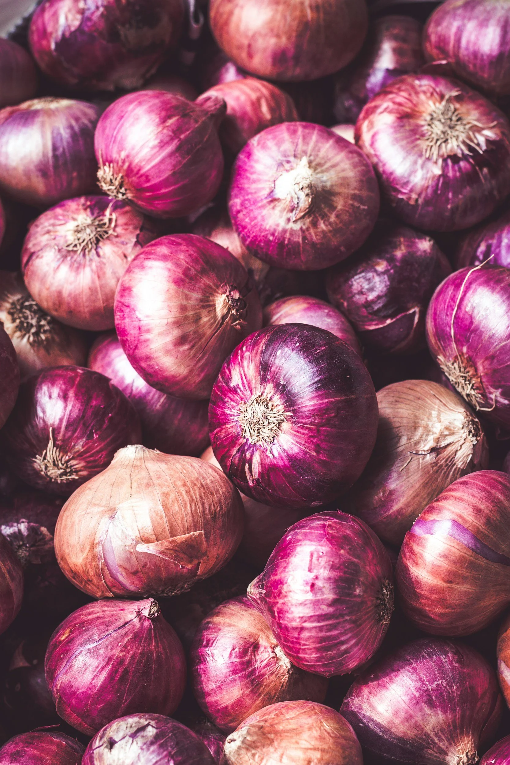 A pile of red and purple onions with papery skins.