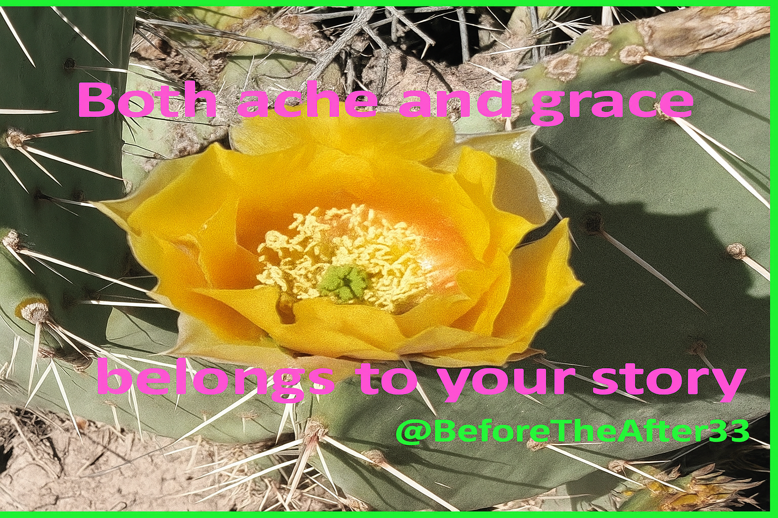 Yellow cactus flower blooming on a green cactus pad with sharp spines, desert ground visible, overlaid with pink and green text that reads 'Both ache and grace belongs to your story @BeforeTheAfter333.