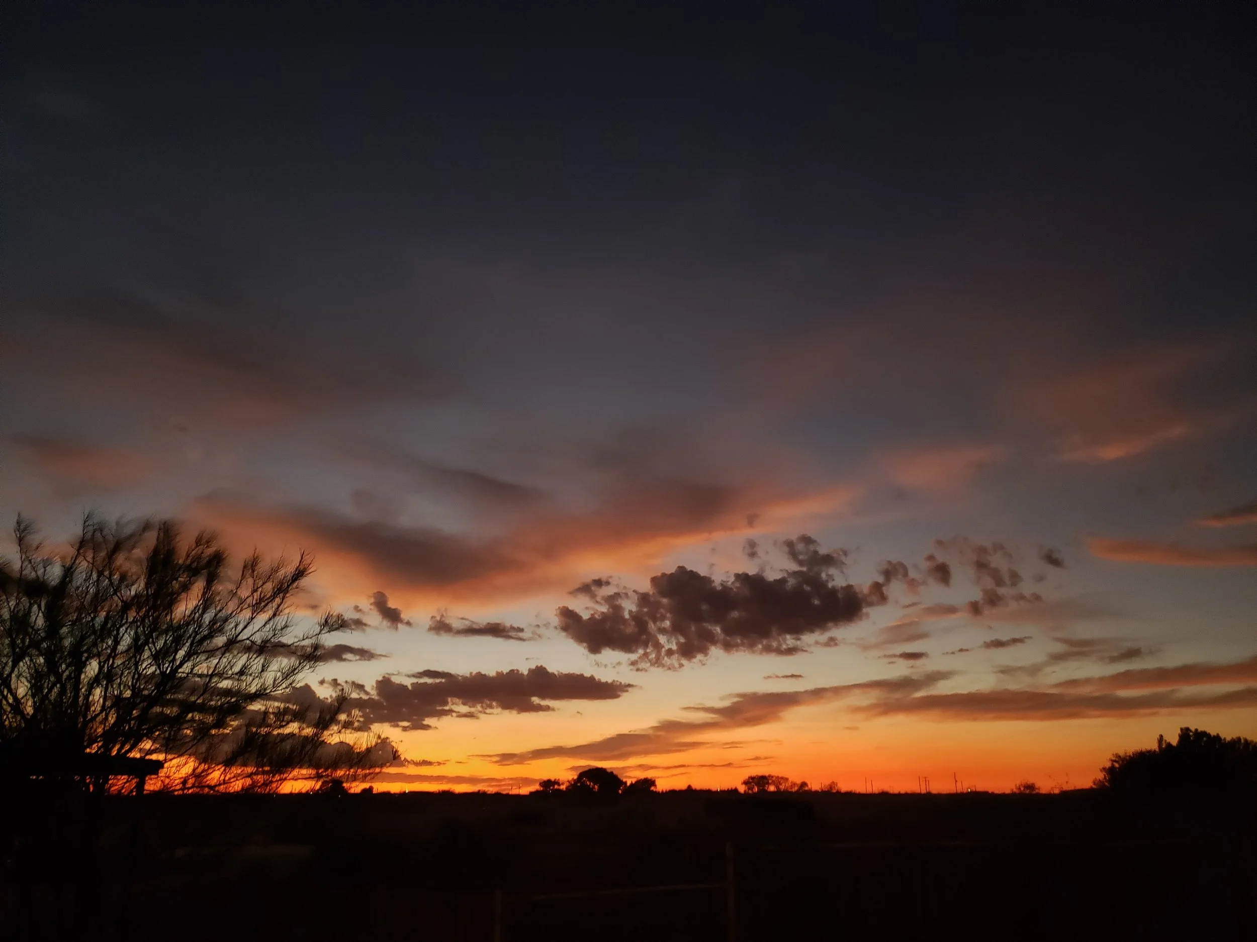Sunset over a rural landscape with silhouetted trees and a partly cloudy sky.