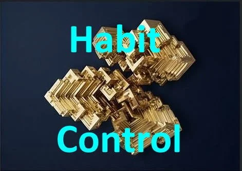 Gold and clear acrylic arrow made of stacked blocks pointing to the right with the words "Habit Control" in turquoise text over a dark background.