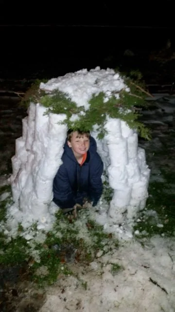 A young boy is playing outside in the snow, crawling into a small snow igloo with a leafy branch on top.