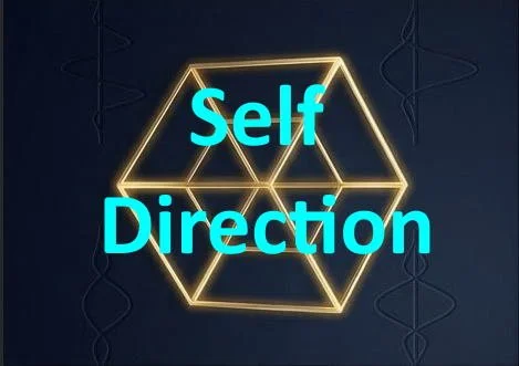 Neon sign with geometric design and the words "Self Direction" in bright blue letters.