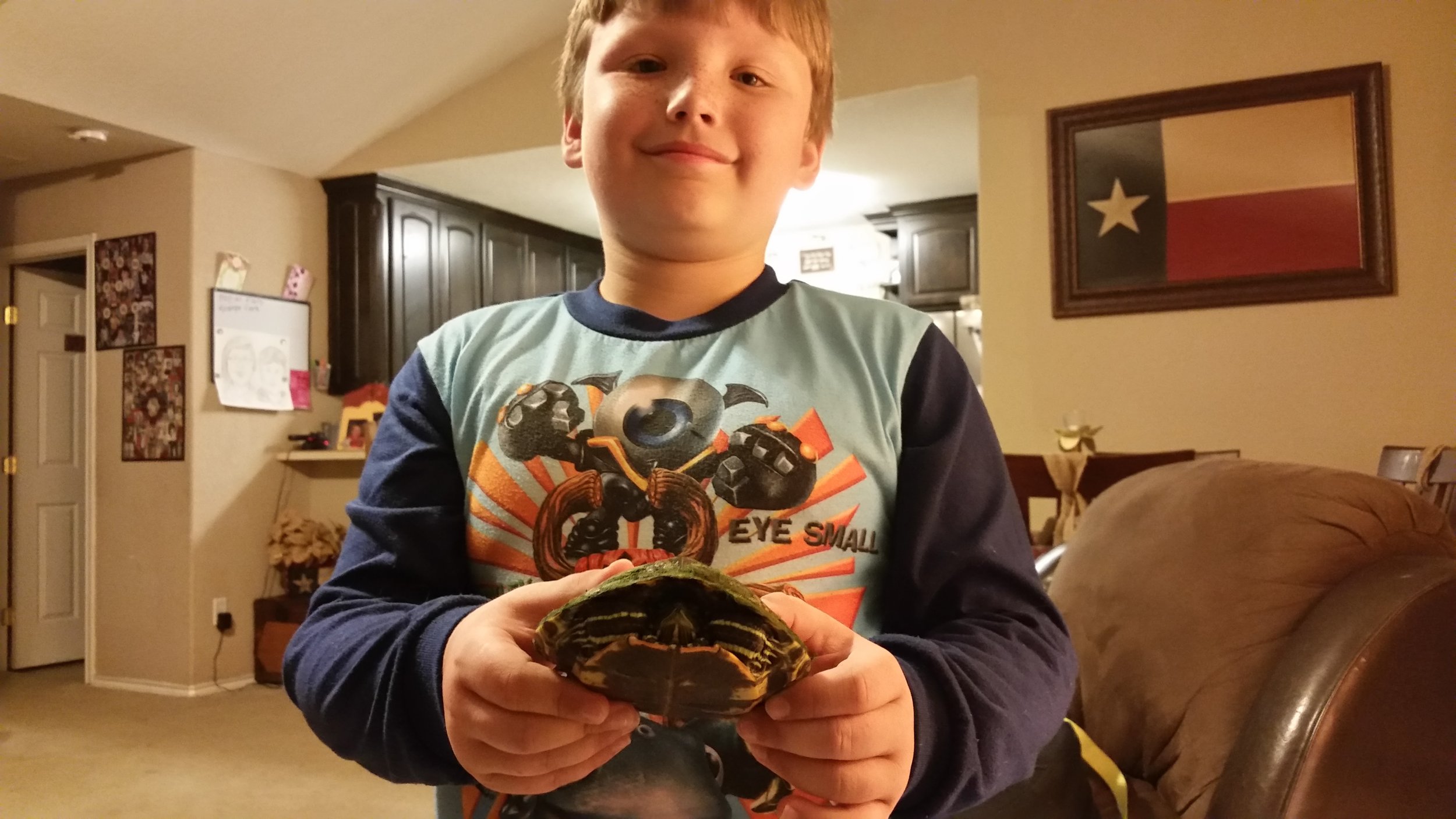 A young boy holding a small turtle inside a living room.