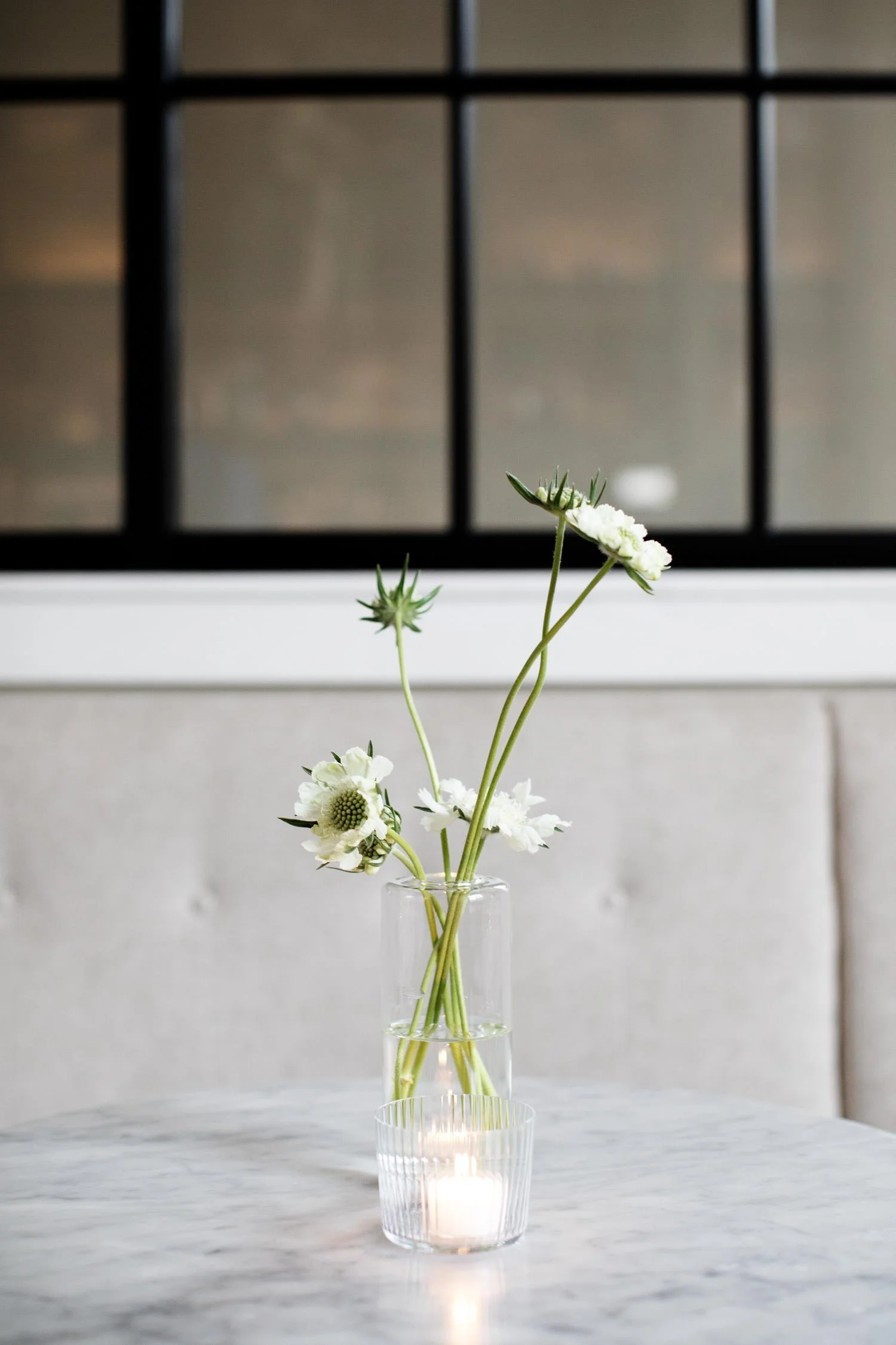 White cut daisies in a single clear glass vase. Minneapolis rehearsal dinner, Spoon and Stable restaurant, Designed by Rocket Science Events.