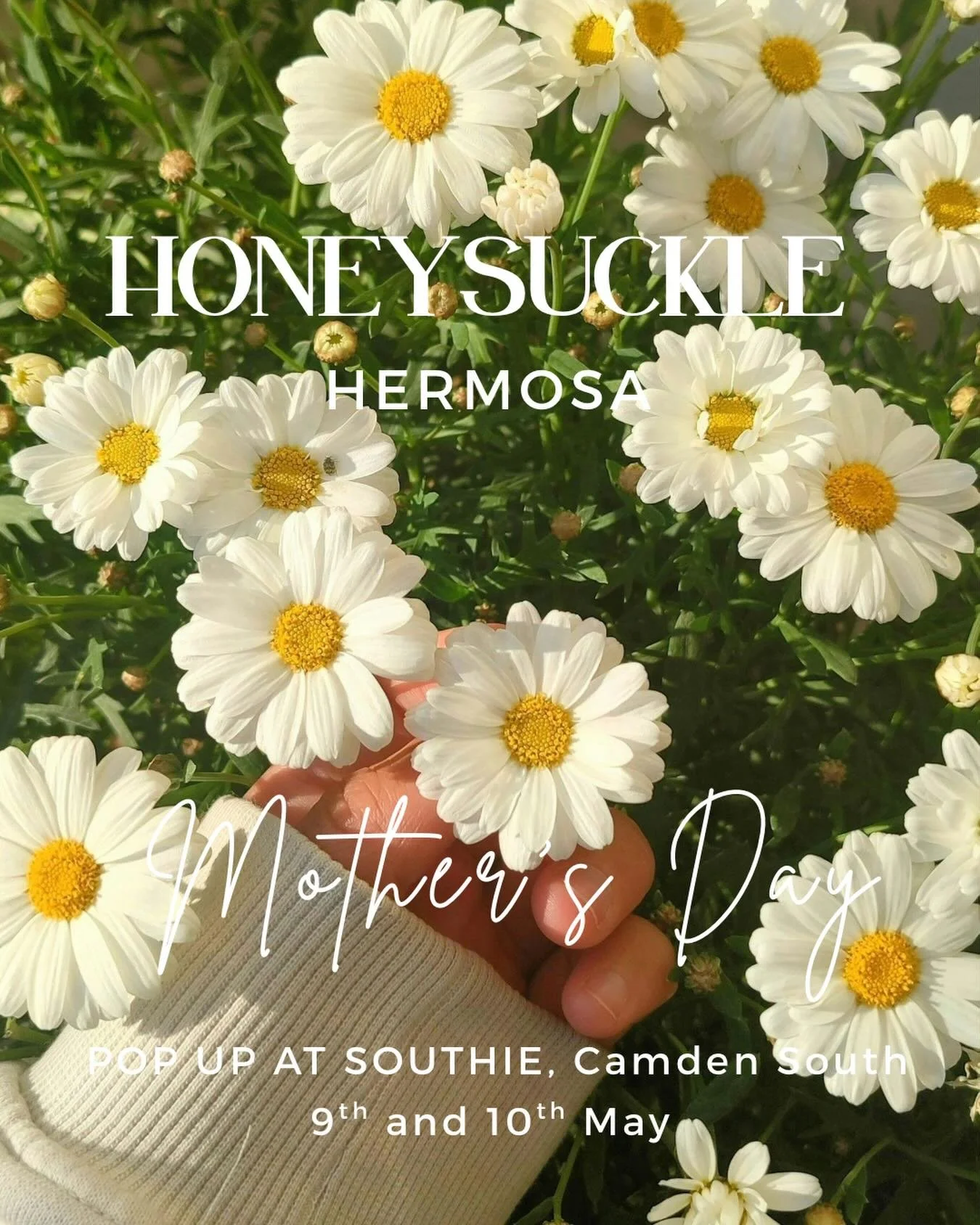 Mothers Day POP UP 🤍
In House Florist

📅 9-10th May
📍Southie, Camden South

Pre order via DM or contact us!