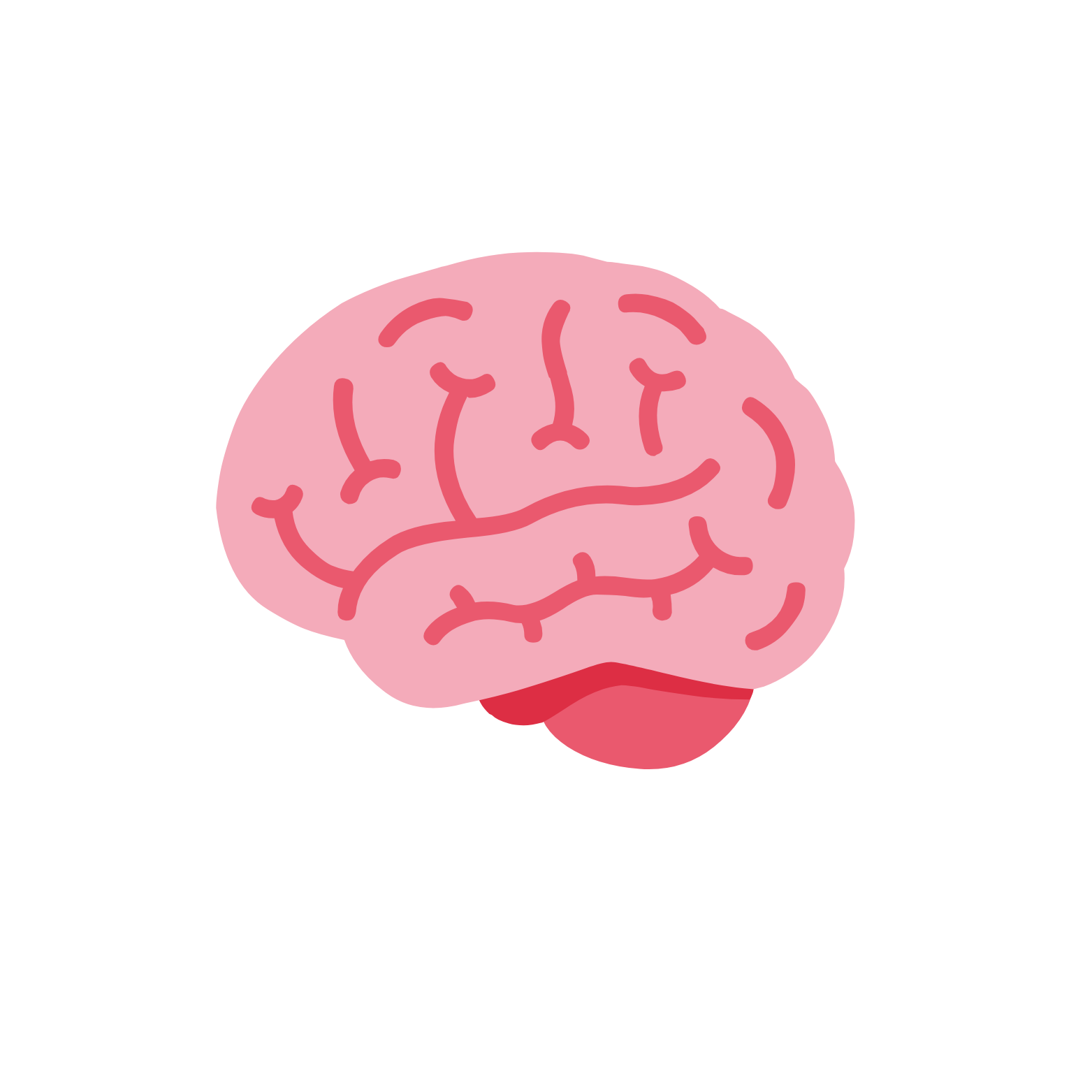 Simple illustration of a human brain in pink, showing the brain's folds and a red cerebellum at the bottom.
