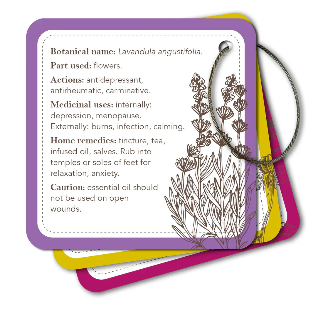 Lavender_card_from_apothecary_flashcards.webp