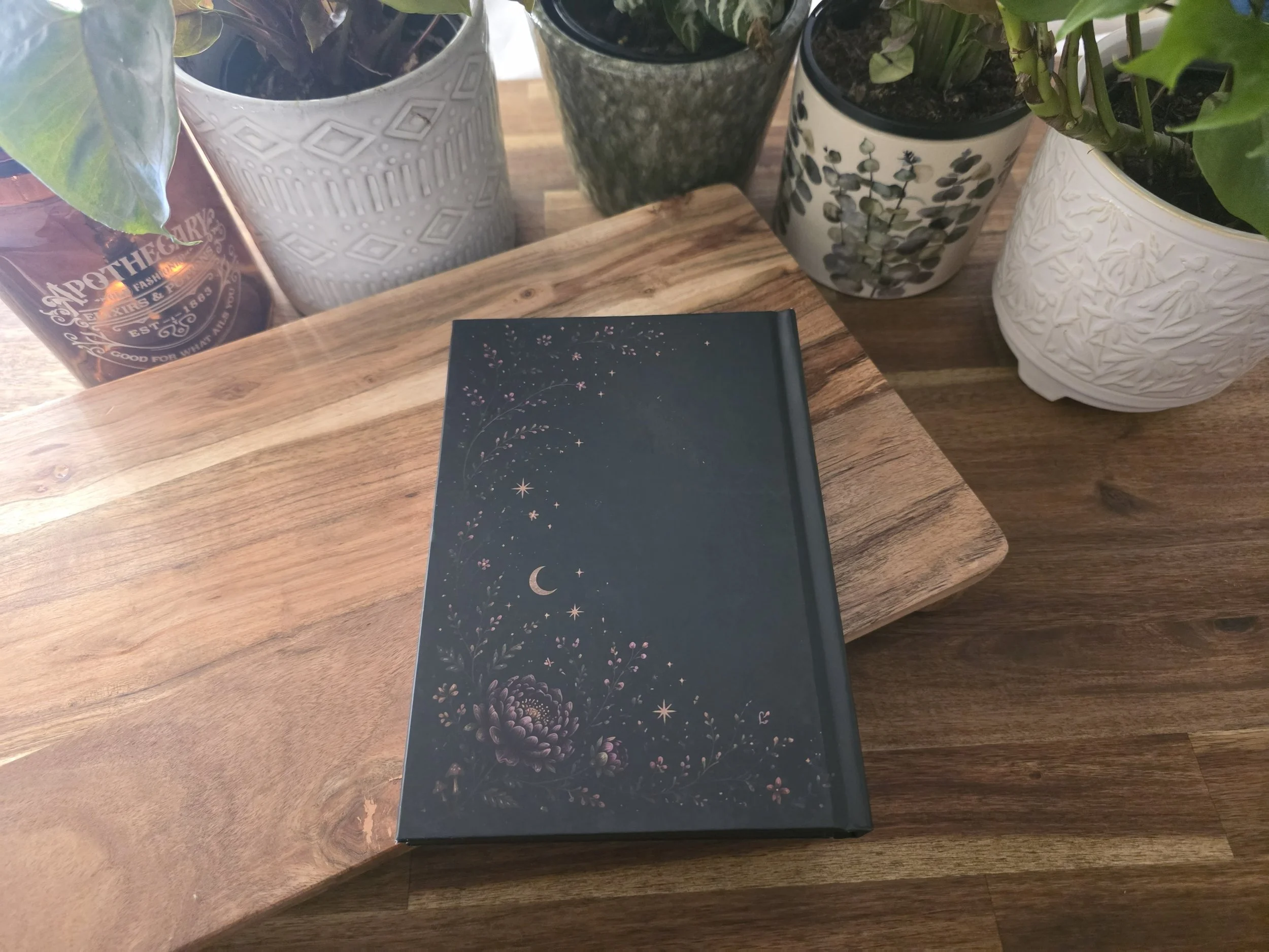 journal 1.9.jpeg