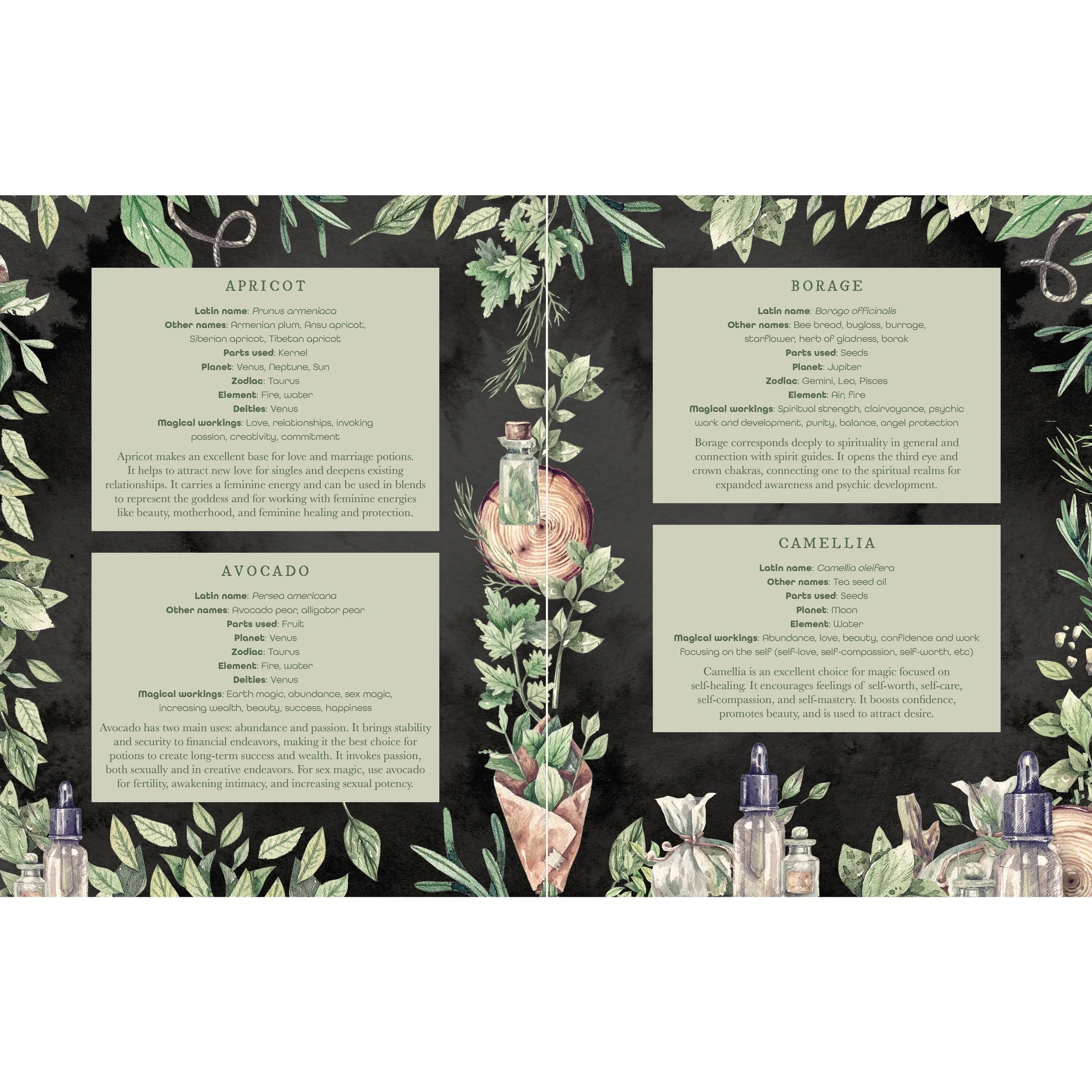 the-witchs-apothecary-6.jpg