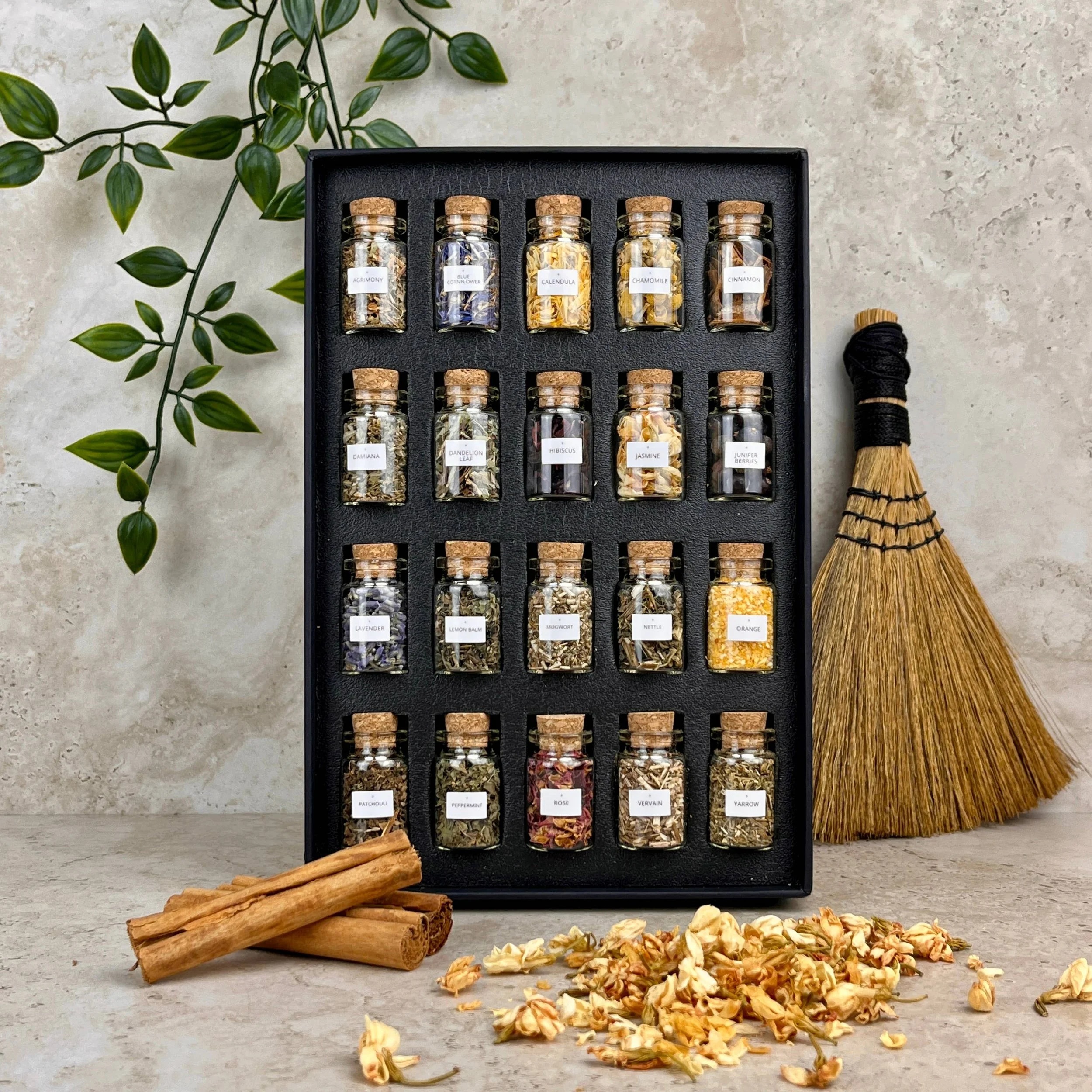 mini-herb-collection-20-piece-herbal-apothecary-2.jpg