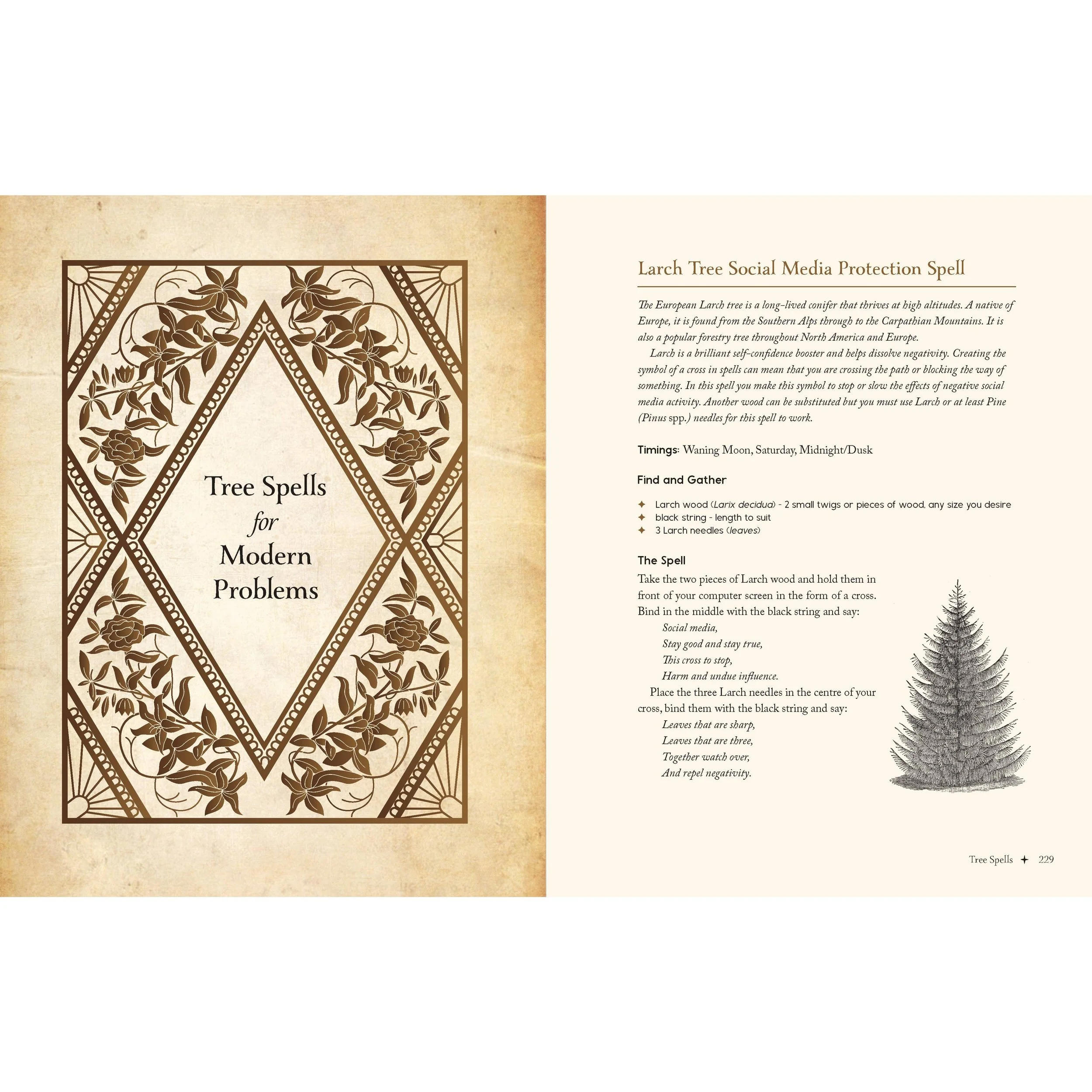 earth-magick-6.jpg