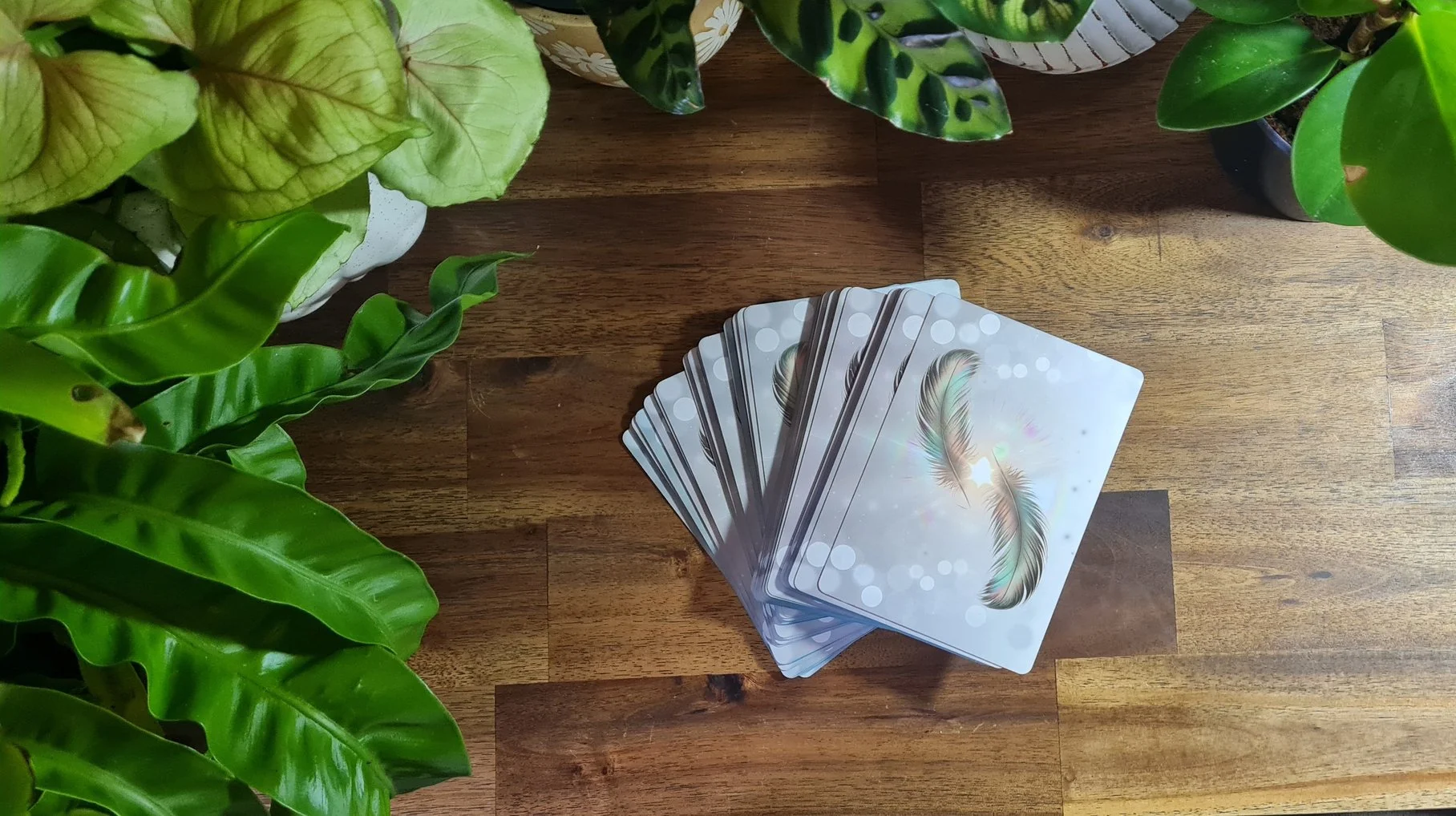 Tarot Reading