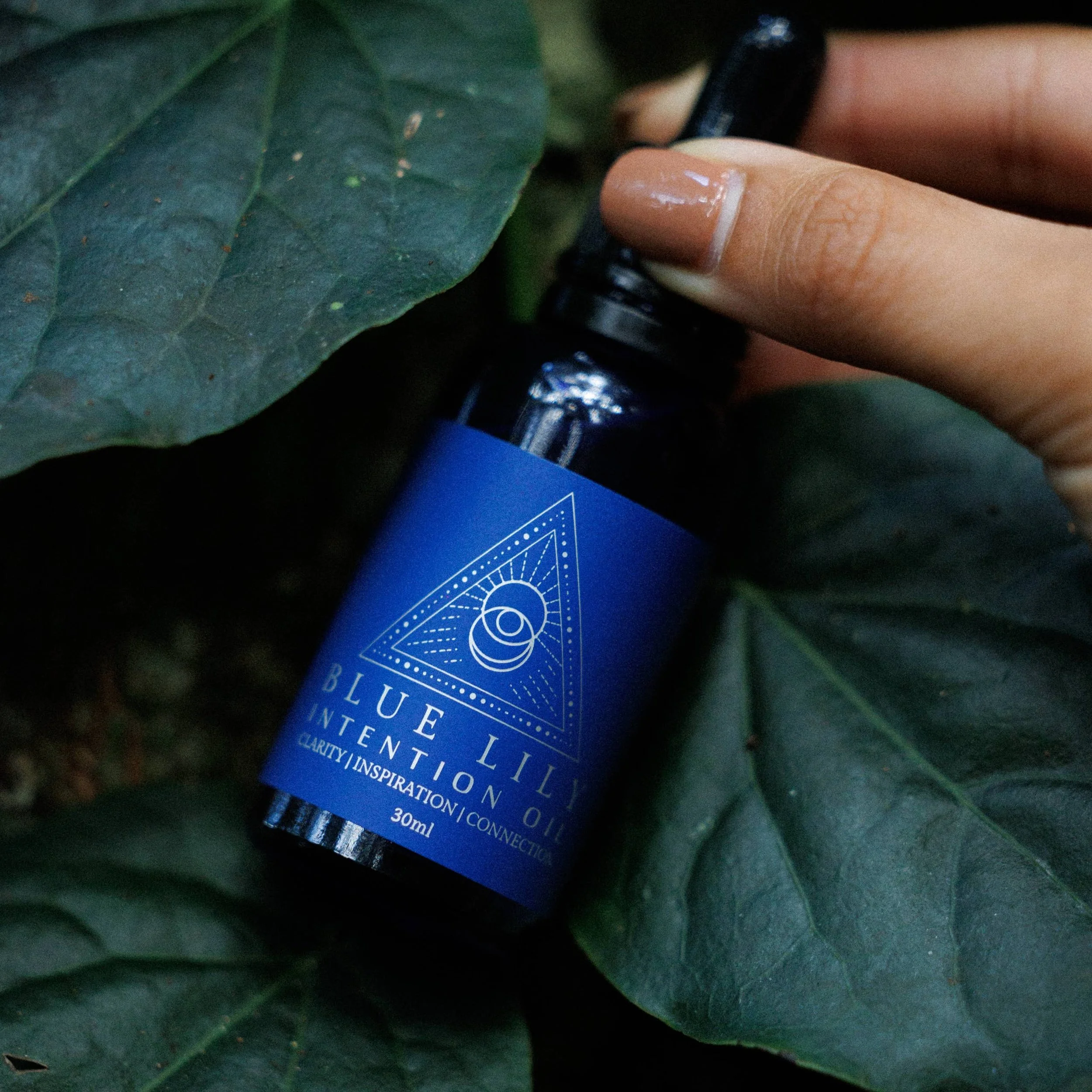 blue-lily-blue-lotus-intention-oil-8.jpg