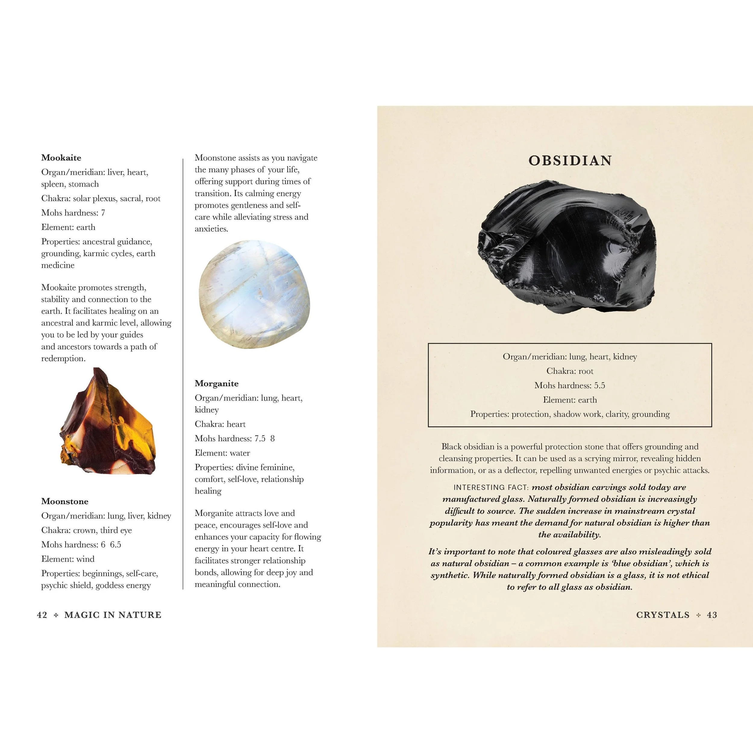 practical-guide-to-magic-in-nature-3.jpg