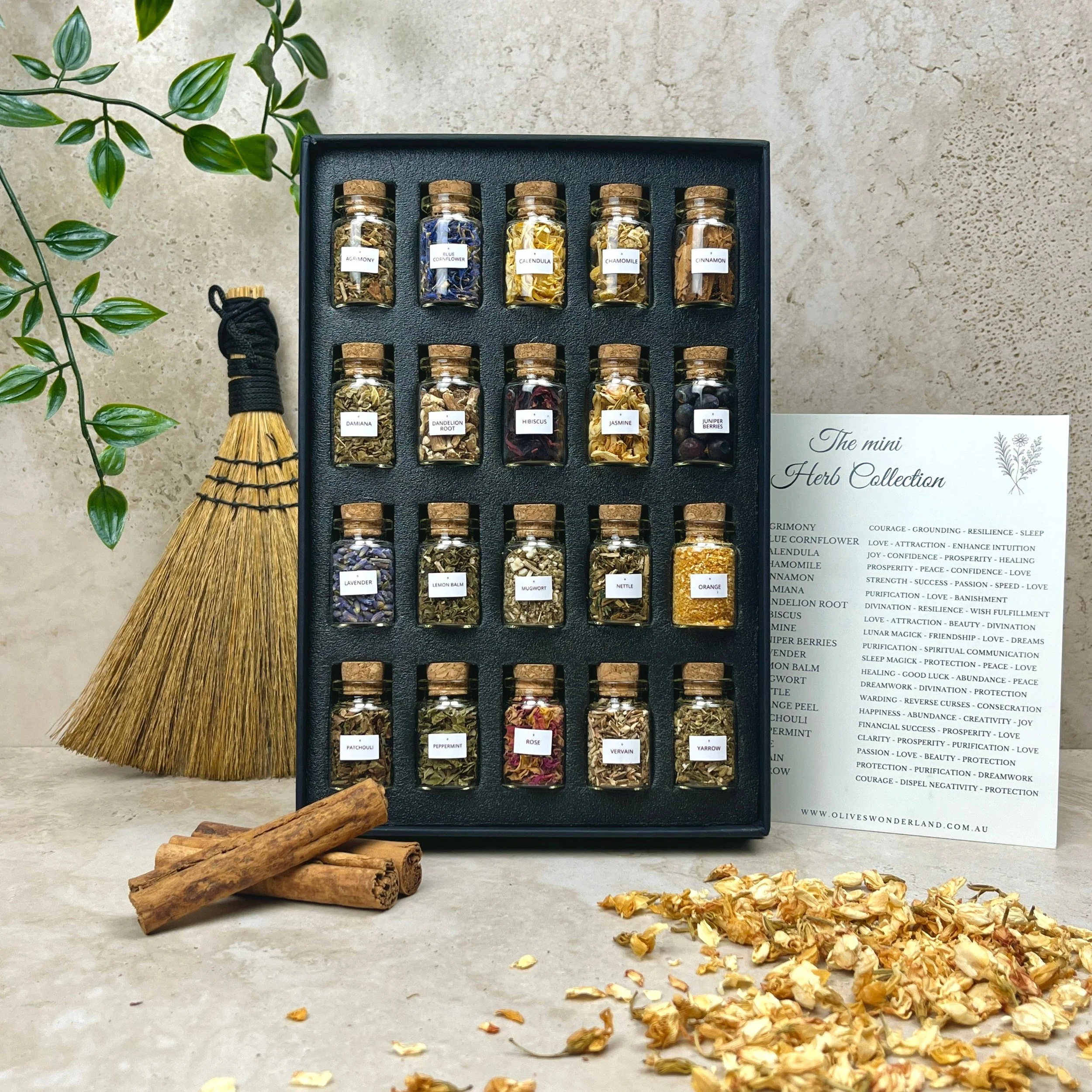 Mini Herb Collection 20 Piece Herbal Apothecary