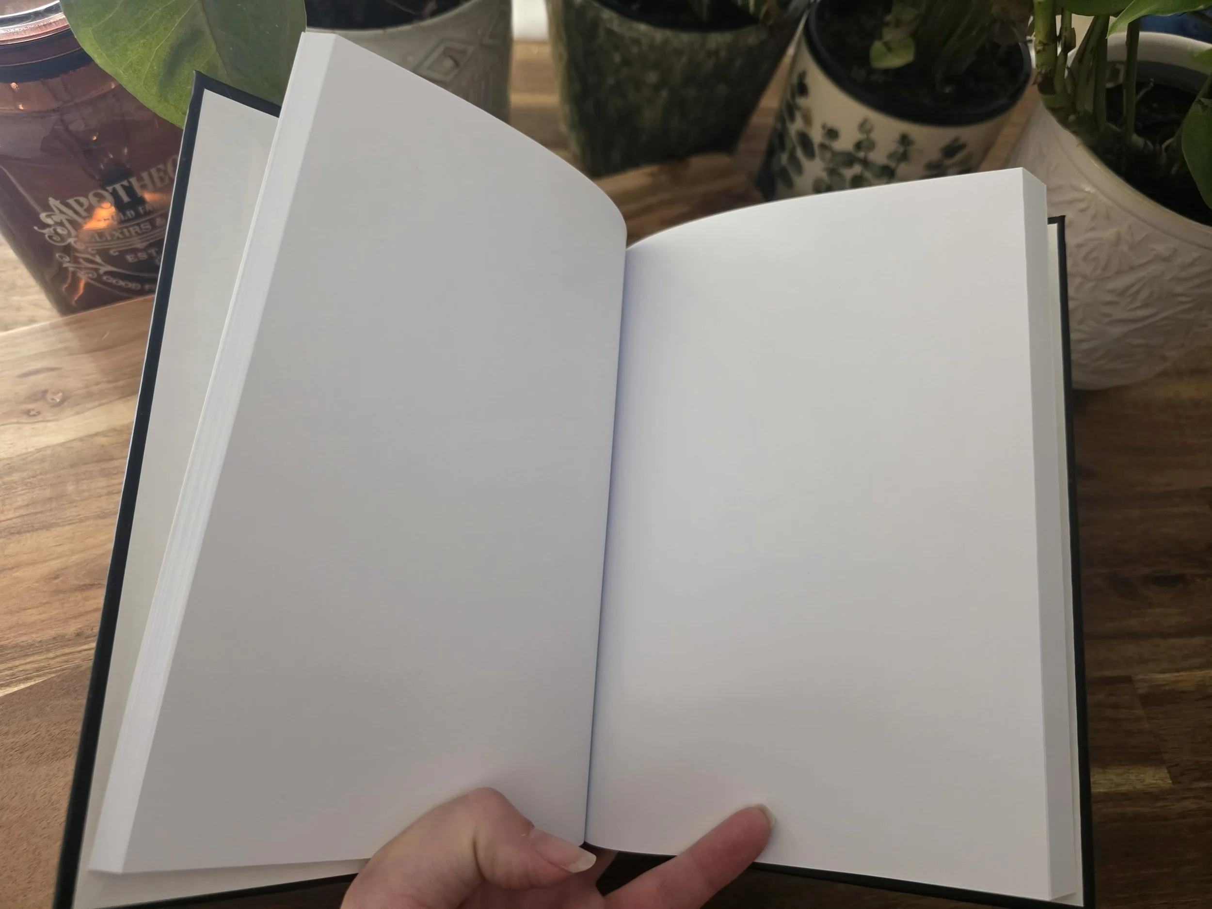 journal 1.4.jpeg