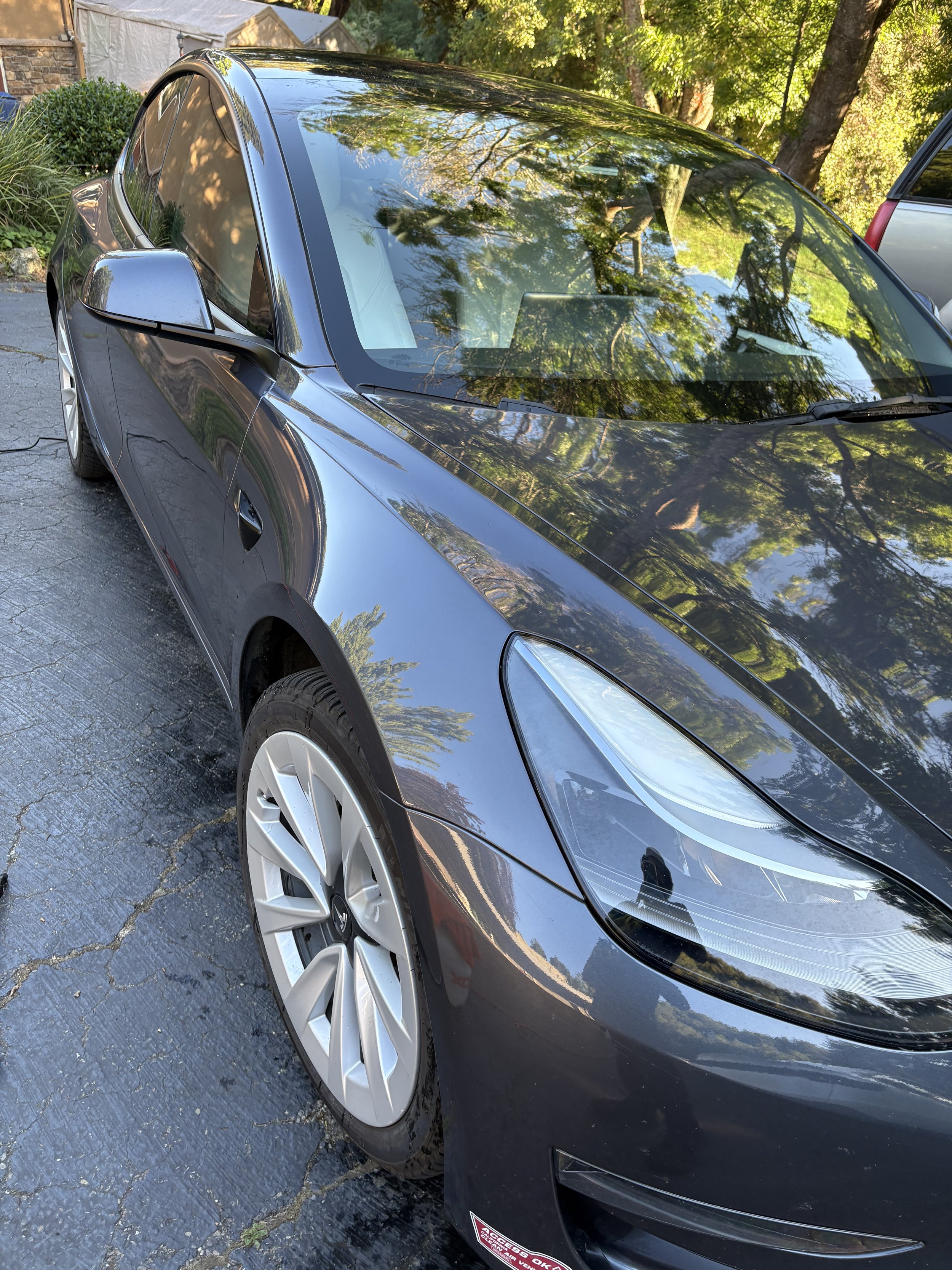 A black Tesla Model 3 parked on a paved driveway surrounded by greenery, with trees and a white tent in the background, and reflections of trees on its windshield and hood.