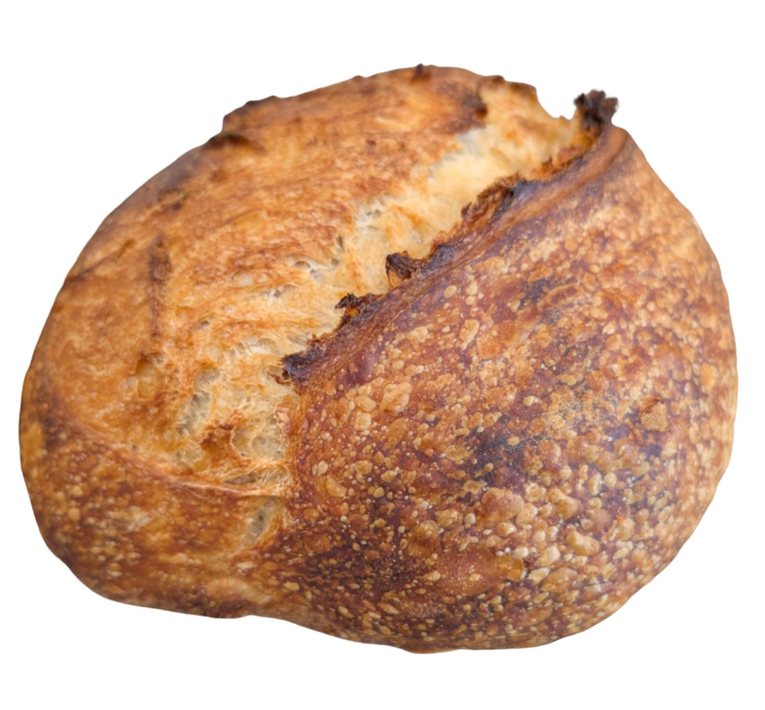 A round bread roll with a golden-brown crust, topped with sesame seeds, and a split in the top revealing its soft interior.
