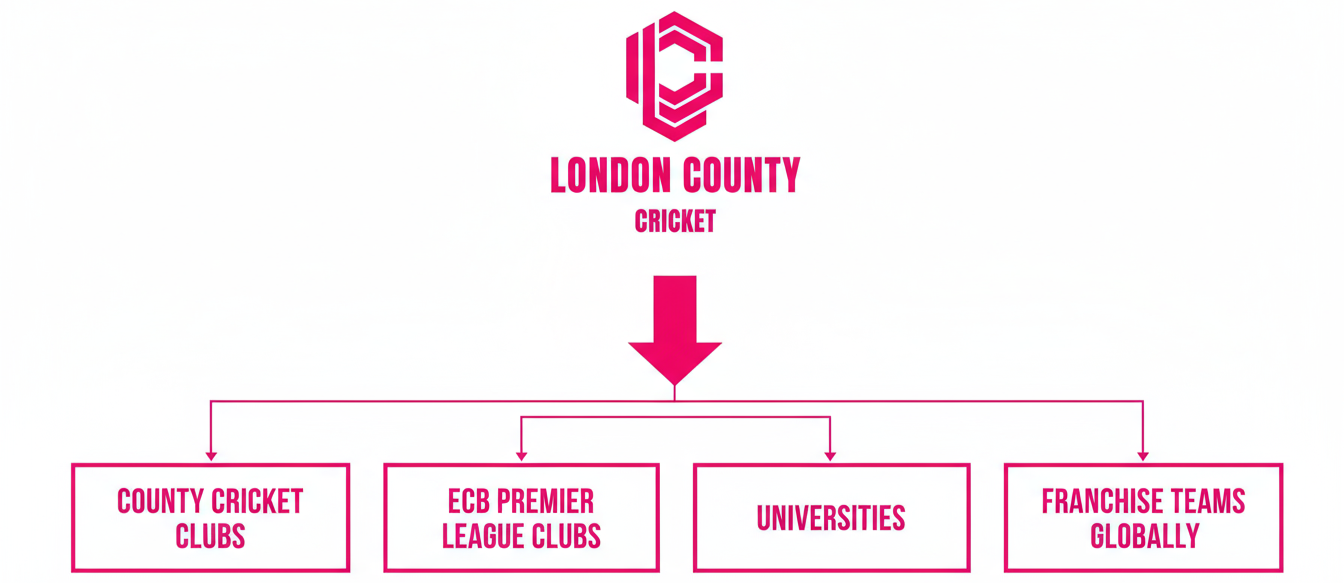 Diagram showing the organization of London County Cricket, with a logo at the top, followed by a pink arrow pointing down to four categories: County Cricket Clubs, ECB Premier League Clubs, Universities, and Franchise Teams Globally.
