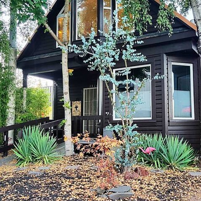 Black house with a front yard featuring desert plants, small trees, and a decorative flamingo garden ornament.