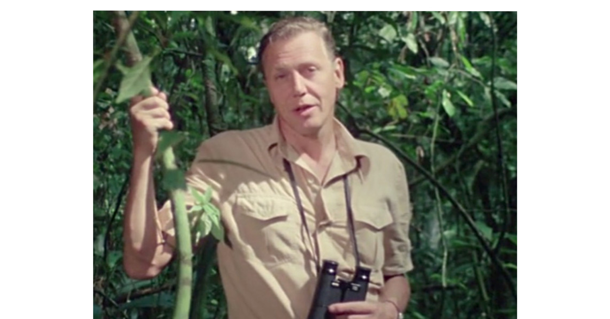 A Hundred Years of David Attenborough — And Still the Earth Whispers