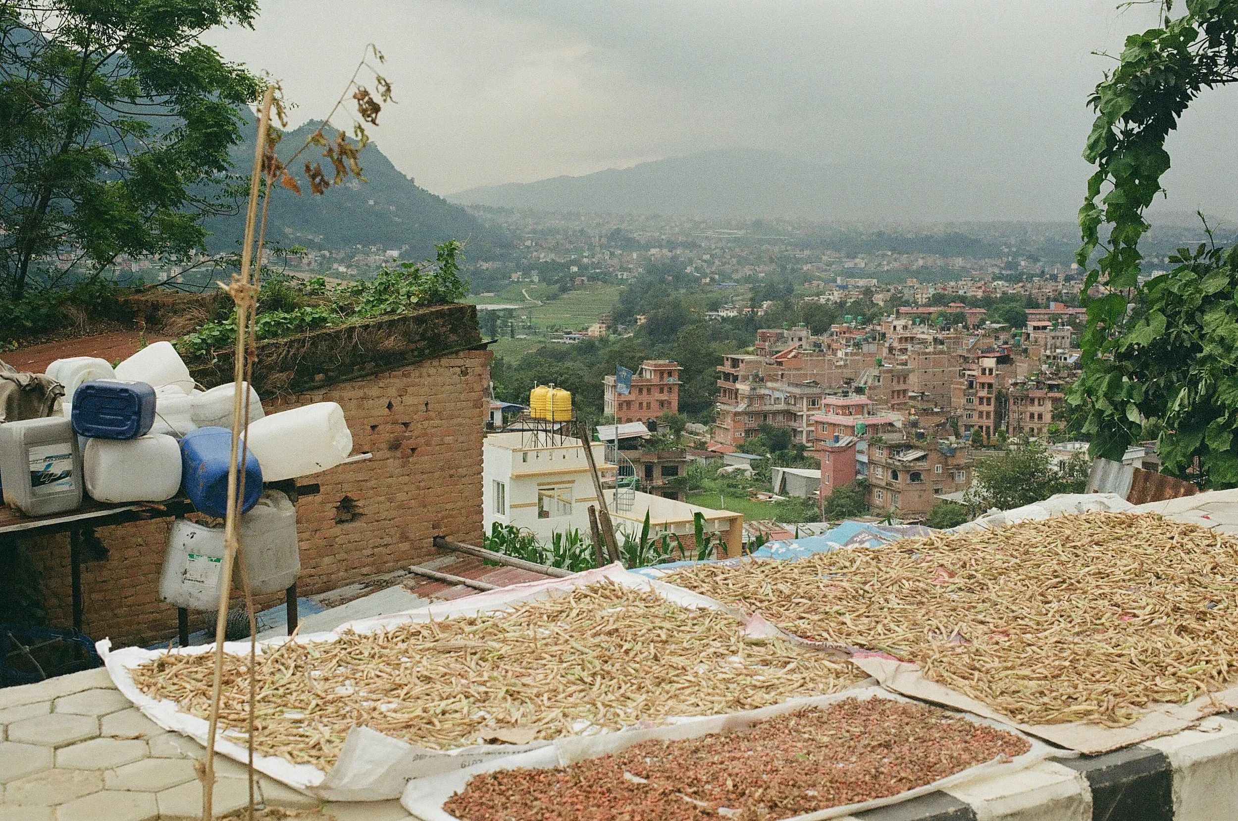 009668020016_14A.jpg